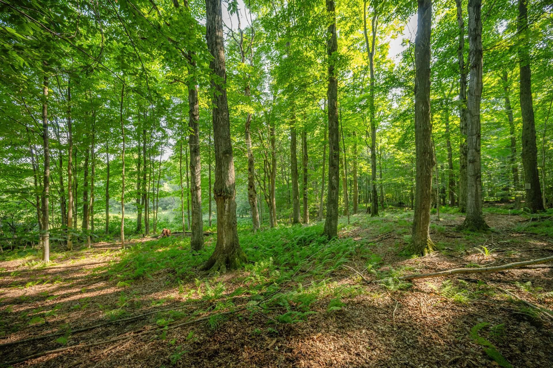 









970Z


Ch. Grainger

,
Melbourne,







QC
J0B2B0

