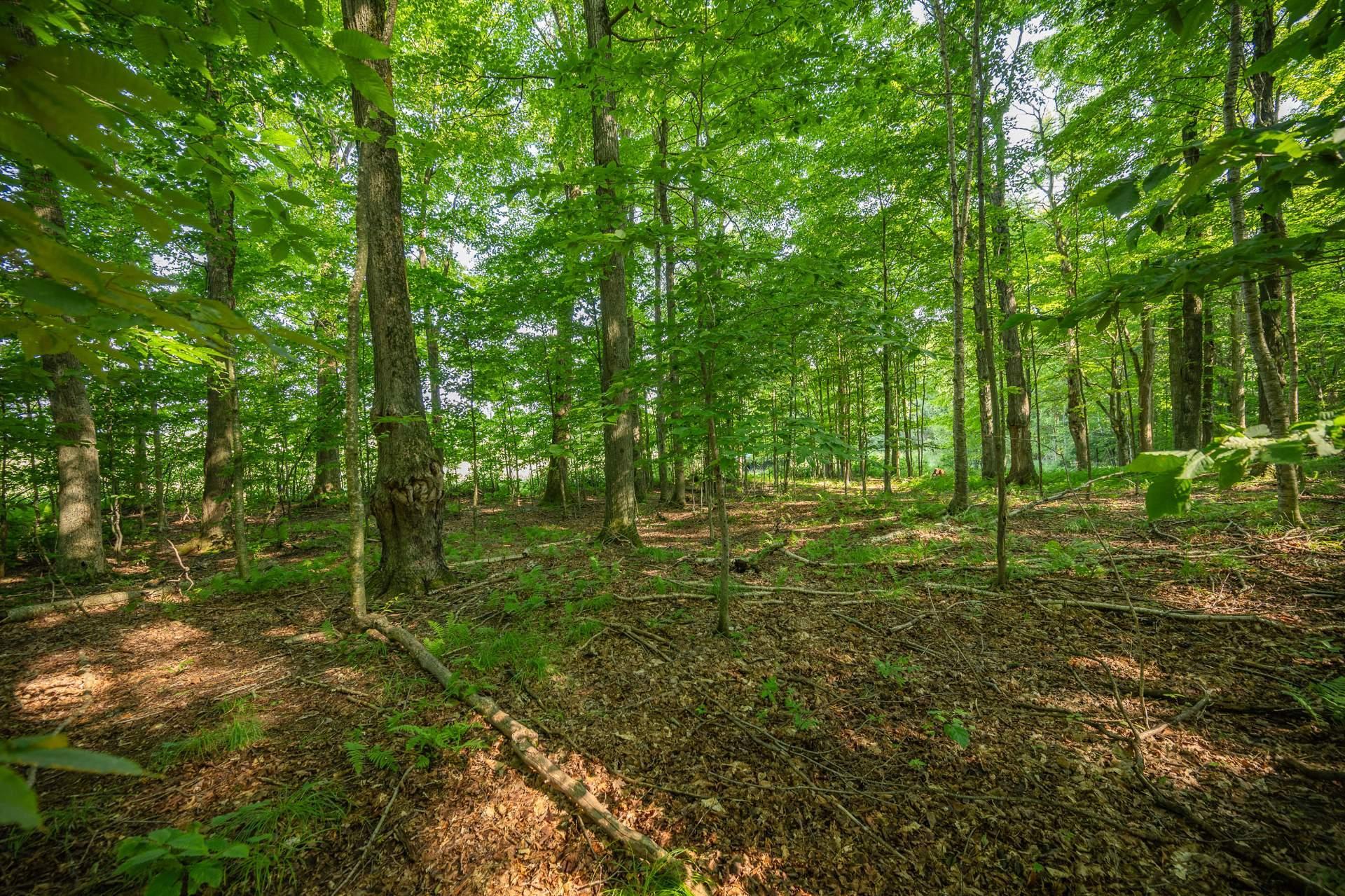 









970Z


Ch. Grainger

,
Melbourne,







QC
J0B2B0

