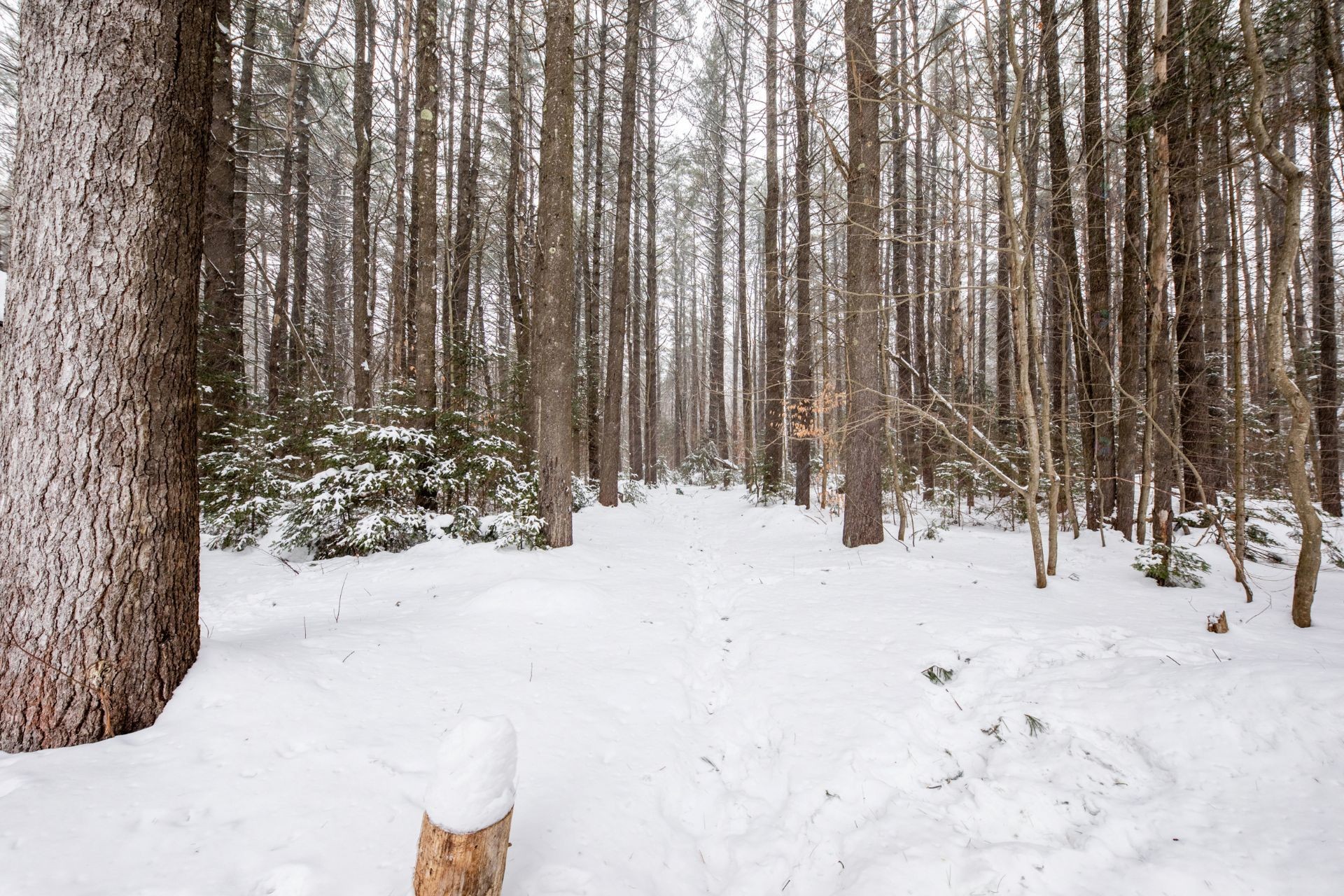 









330


Côte St-Paul

,
Saint-Colomban,




QC
J5K1Z7

