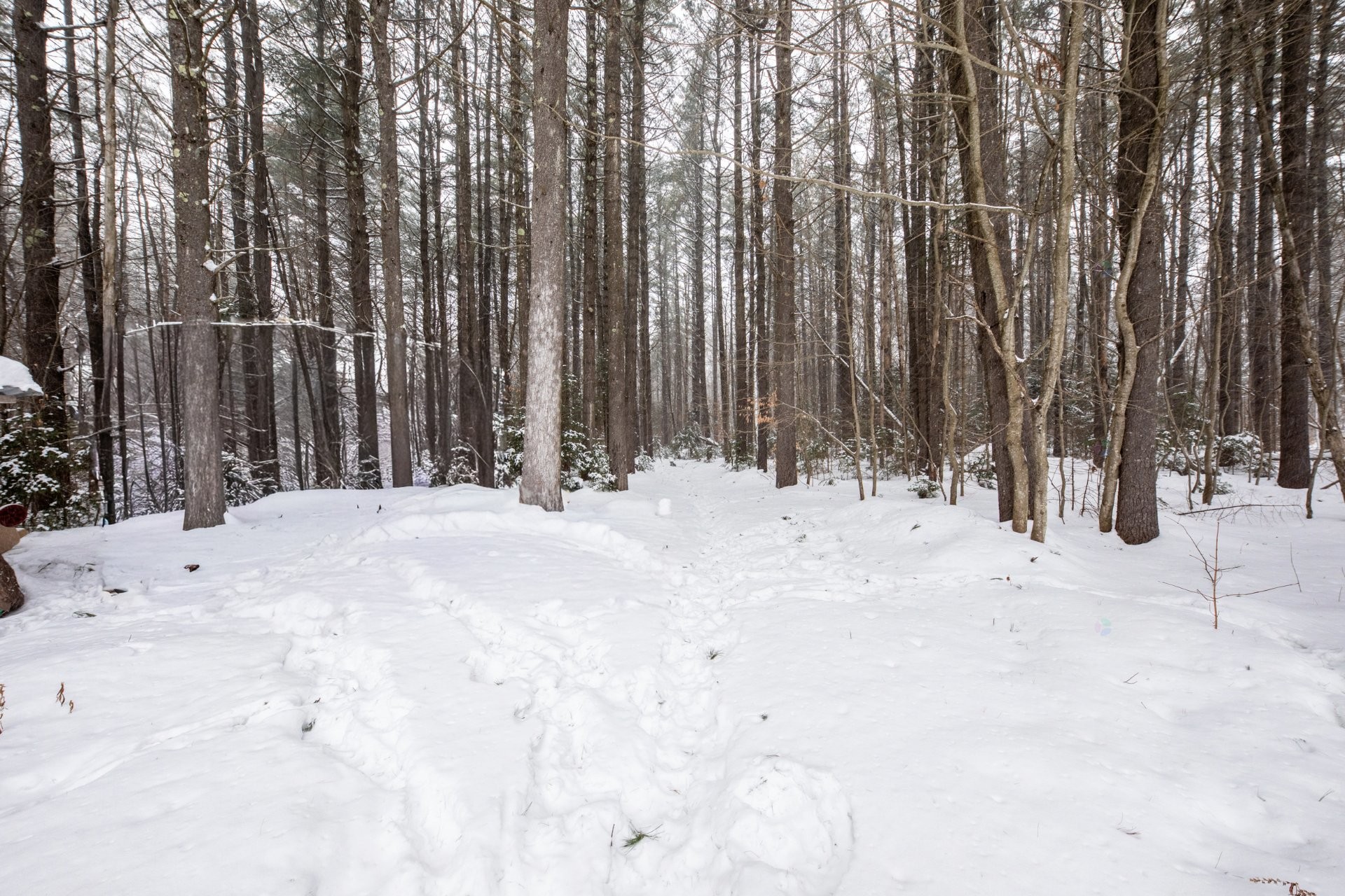 









330


Côte St-Paul

,
Saint-Colomban,




QC
J5K1Z7

