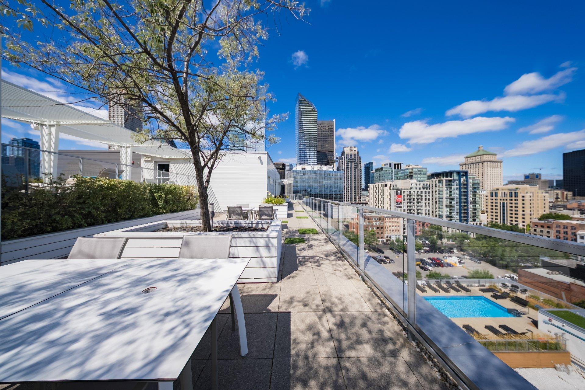 









738


Rue St-Paul O.

, 912,
Montréal (Ville-Marie),




QC
H3C0N5

