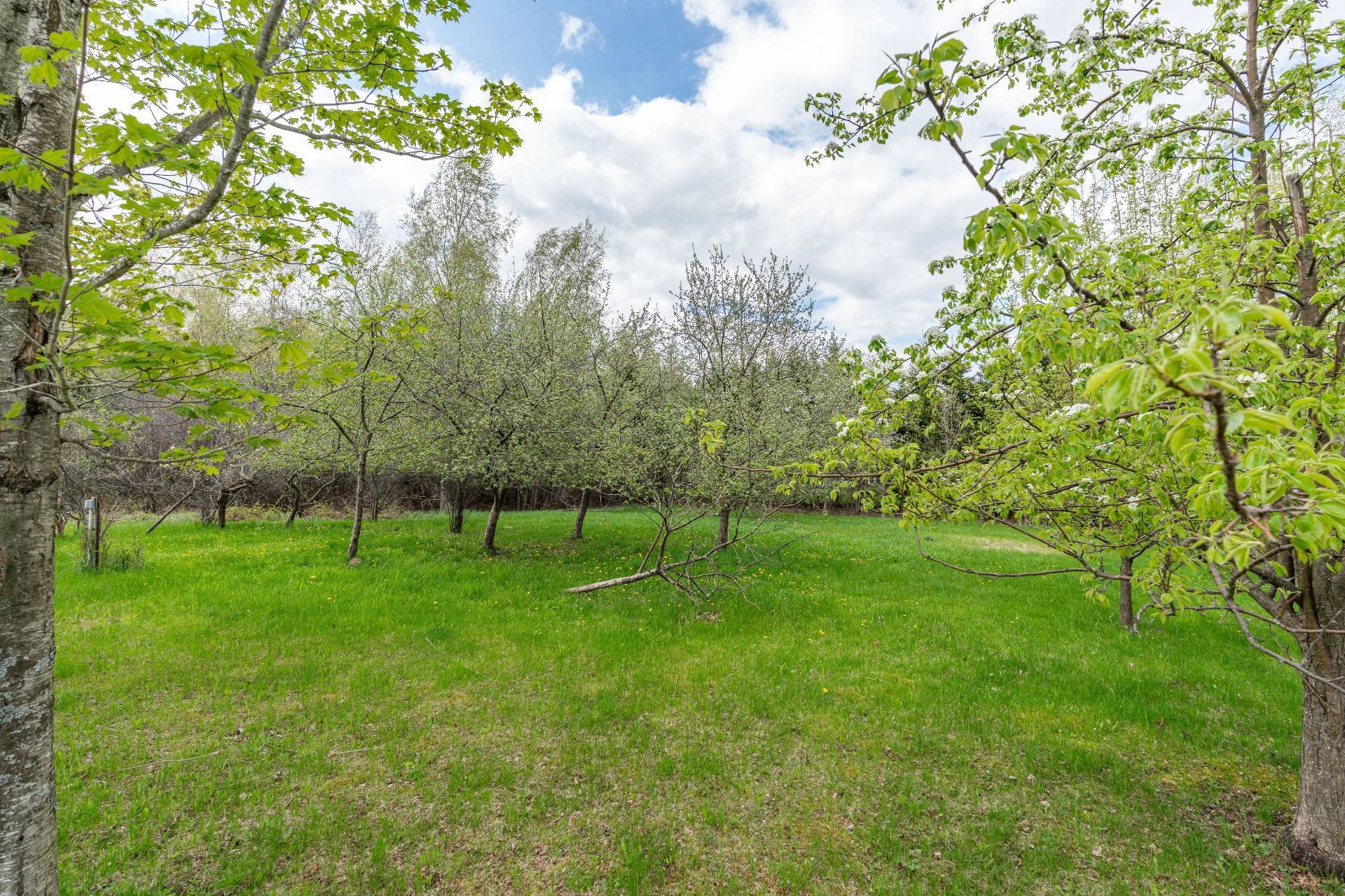 









4452


Rue du Mont-Blanc

,
Ascot Corner,




QC
J0B1A0

