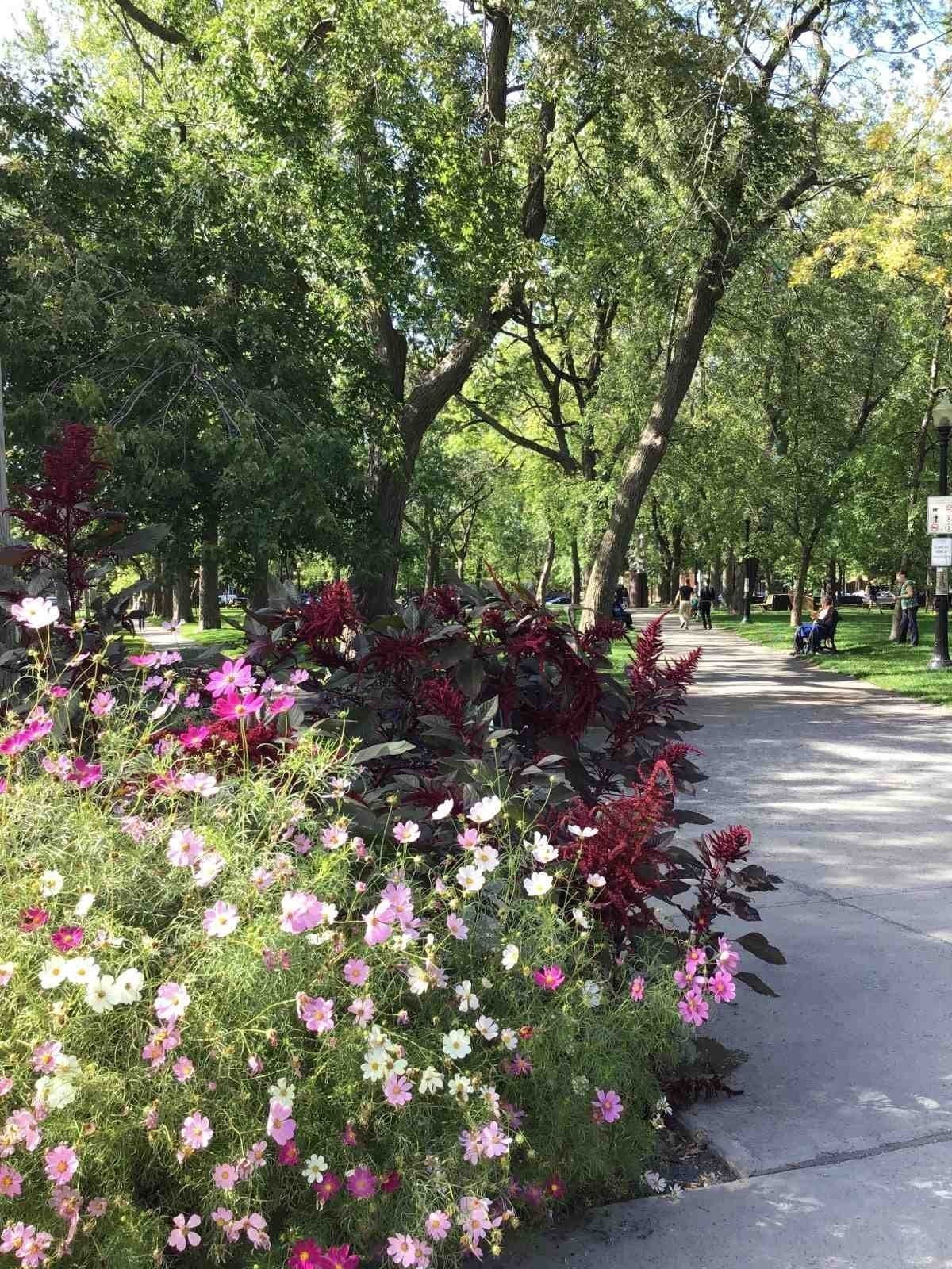 









6322


Av. des Érables

, 3,
Montréal (Rosemont/La Petite-Patrie),




QC
H2G2M8

