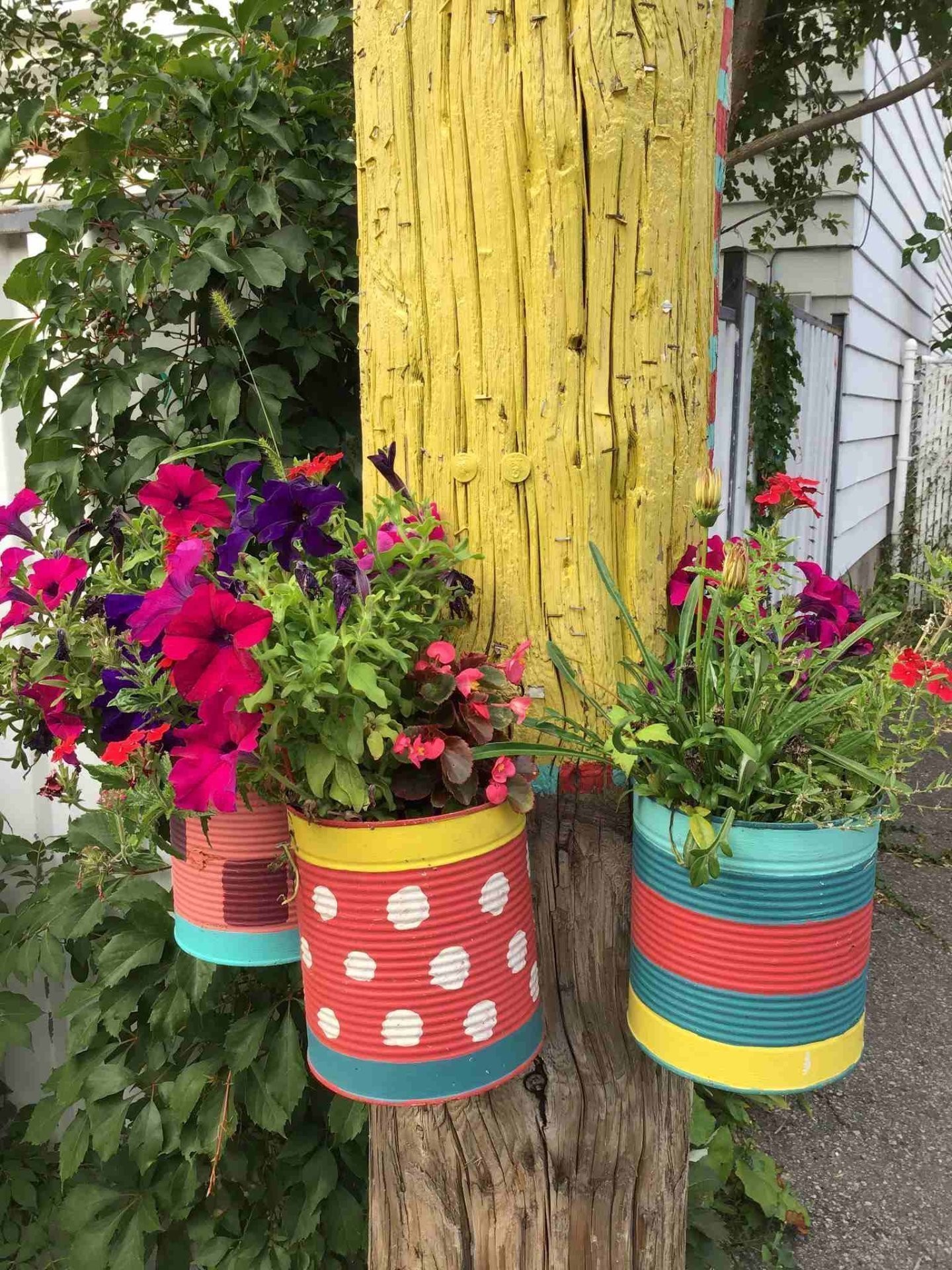 









6322


Av. des Érables

, 3,
Montréal (Rosemont/La Petite-Patrie),




QC
H2G2M8

