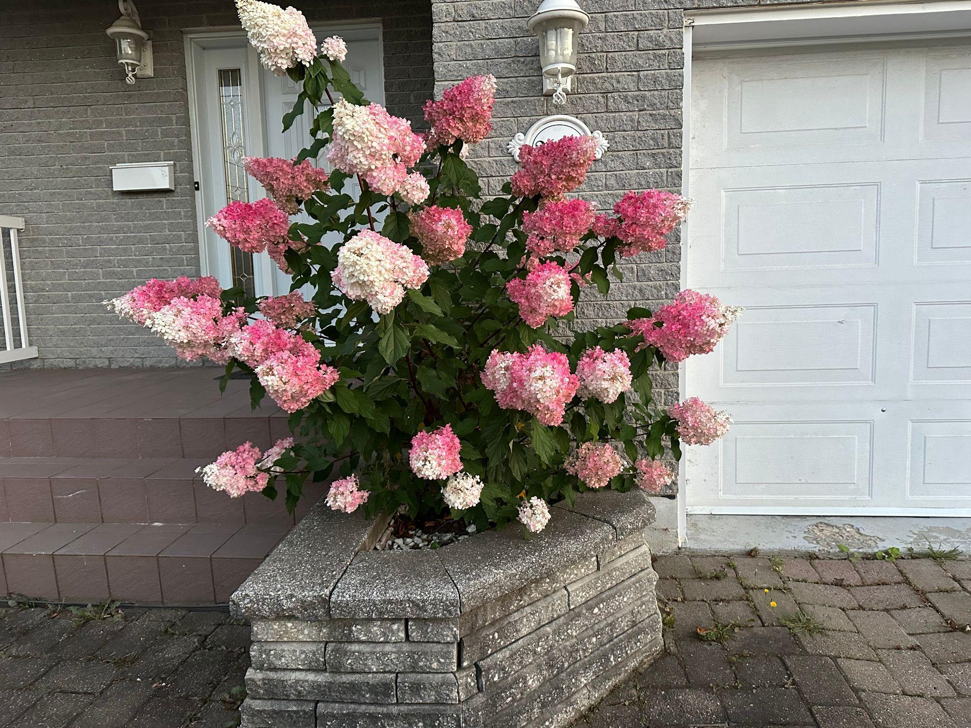 









2688


Rue des Mélèzes

,
Sherbrooke (Fleurimont),




QC
J1G4X9

