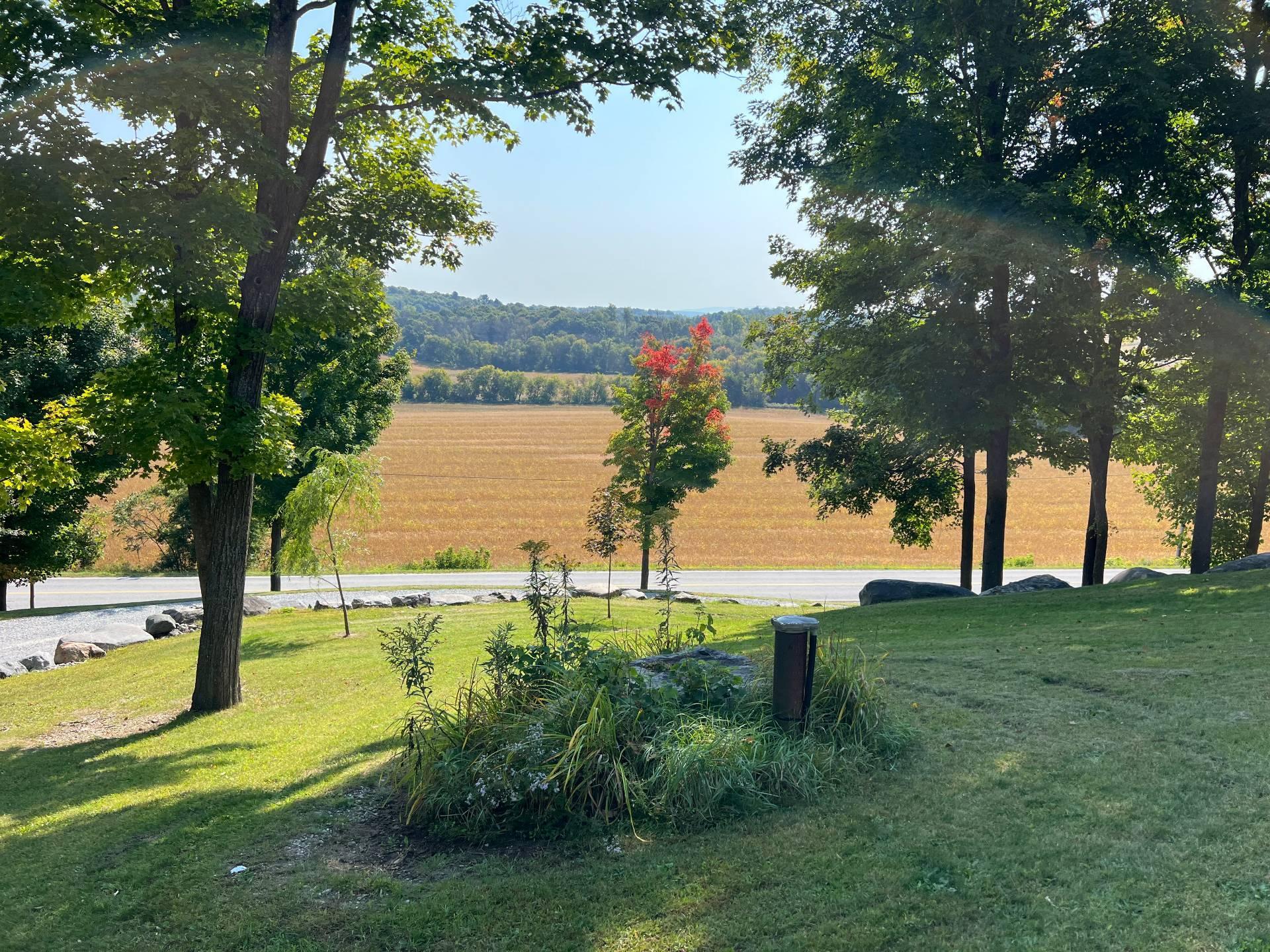 









975


Rg St-Henri

,
Saint-Armand,




QC
J0J1T0

