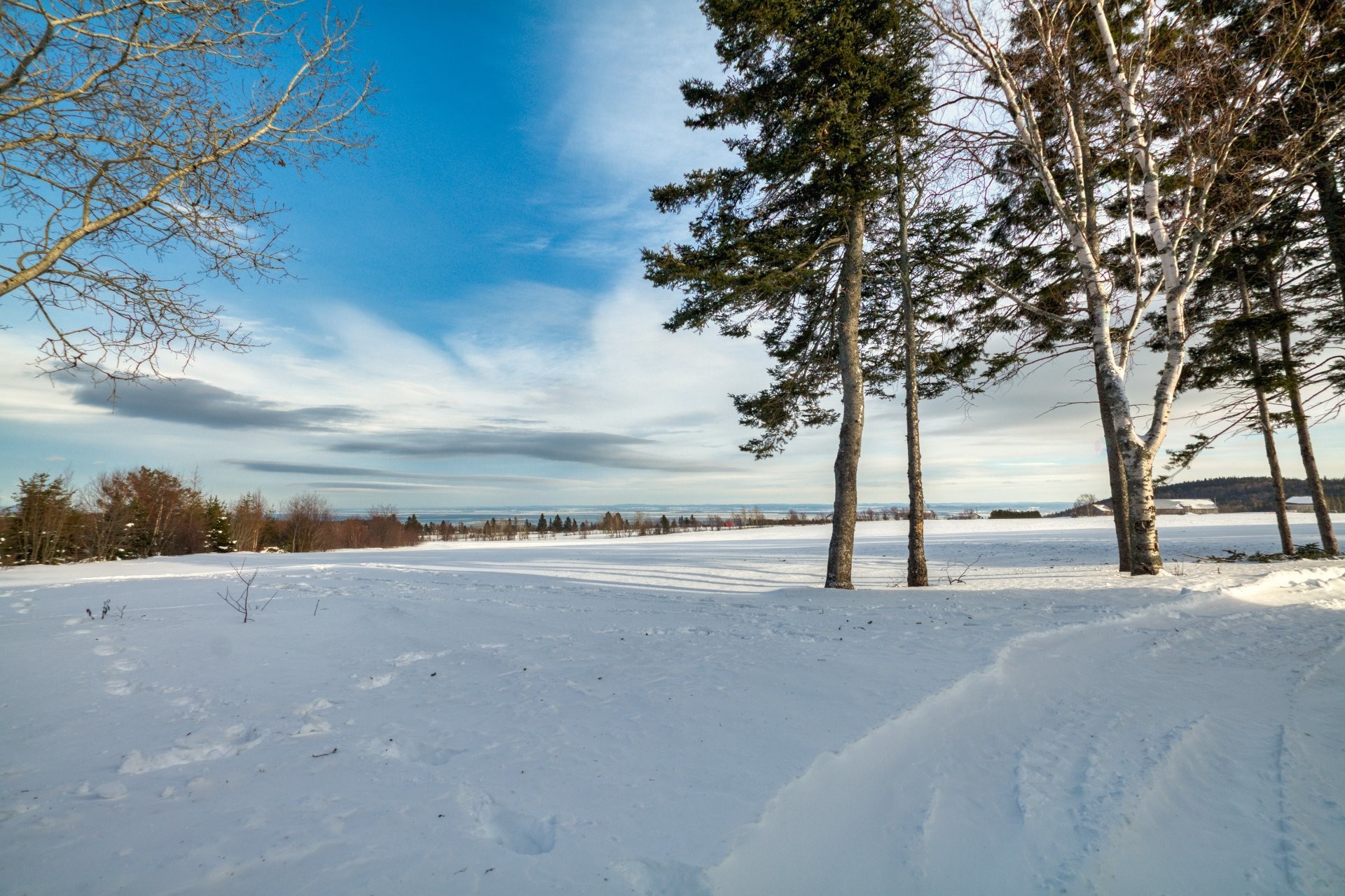









3341


Route du Fleuve

,
Les Éboulements,




QC
G0A2M0

