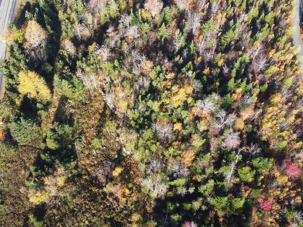 












476 Bissett Road

,
Cole Harbour,







NS
B2V 2T2

