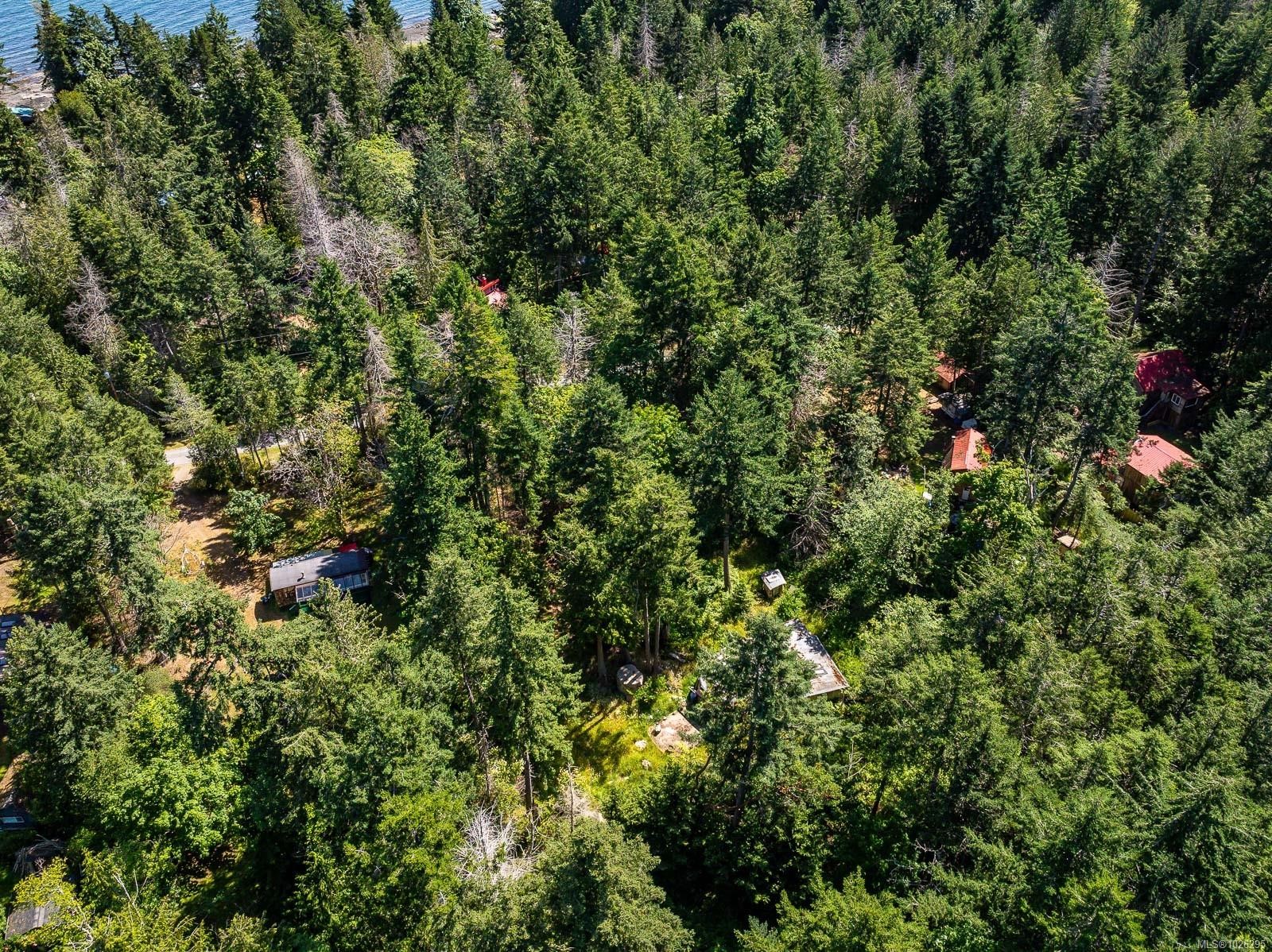 









3450


Brigantine

Cres,
Hornby Island,







BC
V0R 1Z0

