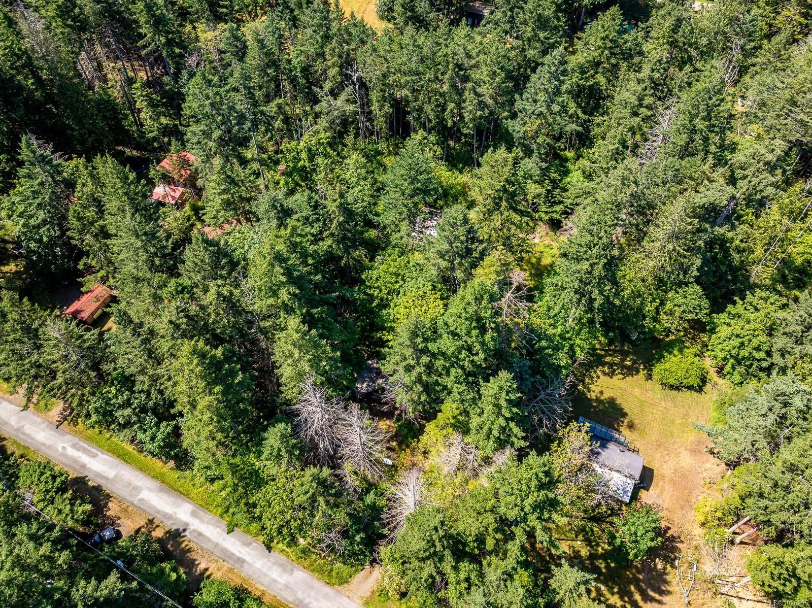 









3450


Brigantine

Cres,
Hornby Island,







BC
V0R 1Z0

