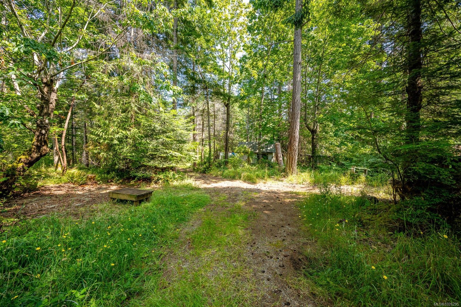 









3450


Brigantine

Cres,
Hornby Island,







BC
V0R 1Z0

