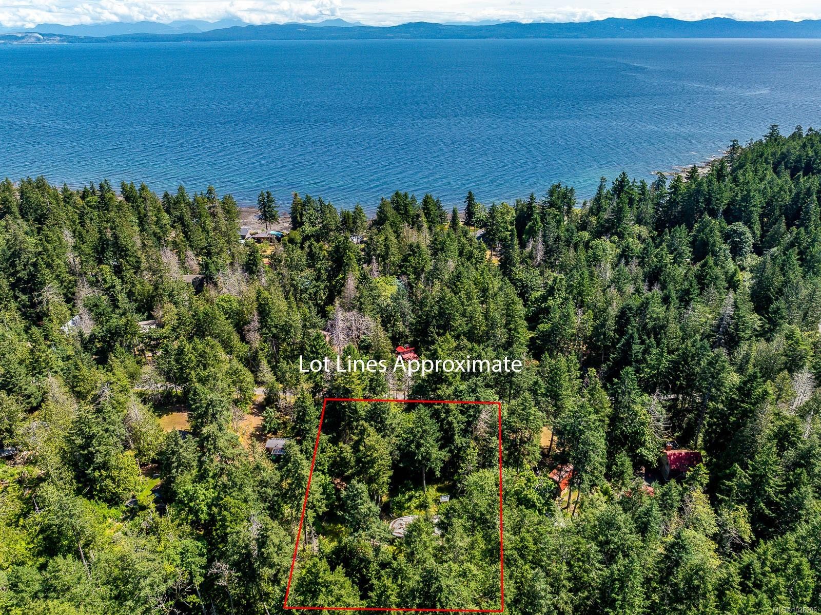 









3450


Brigantine

Cres,
Hornby Island,







BC
V0R 1Z0

