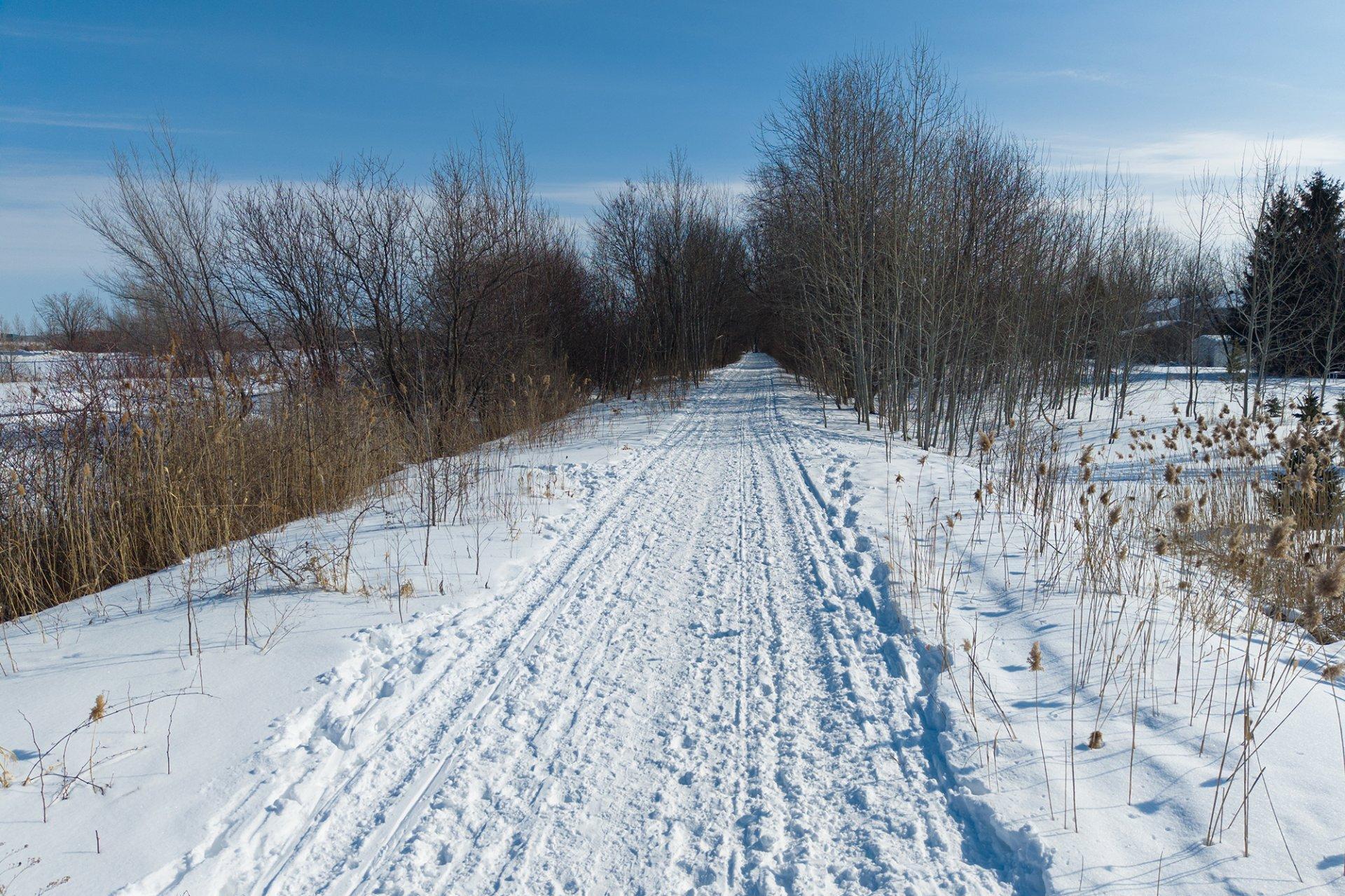 









36


Rue François

,
Saint-Jean-sur-Richelieu,




QC
J2X5J6

