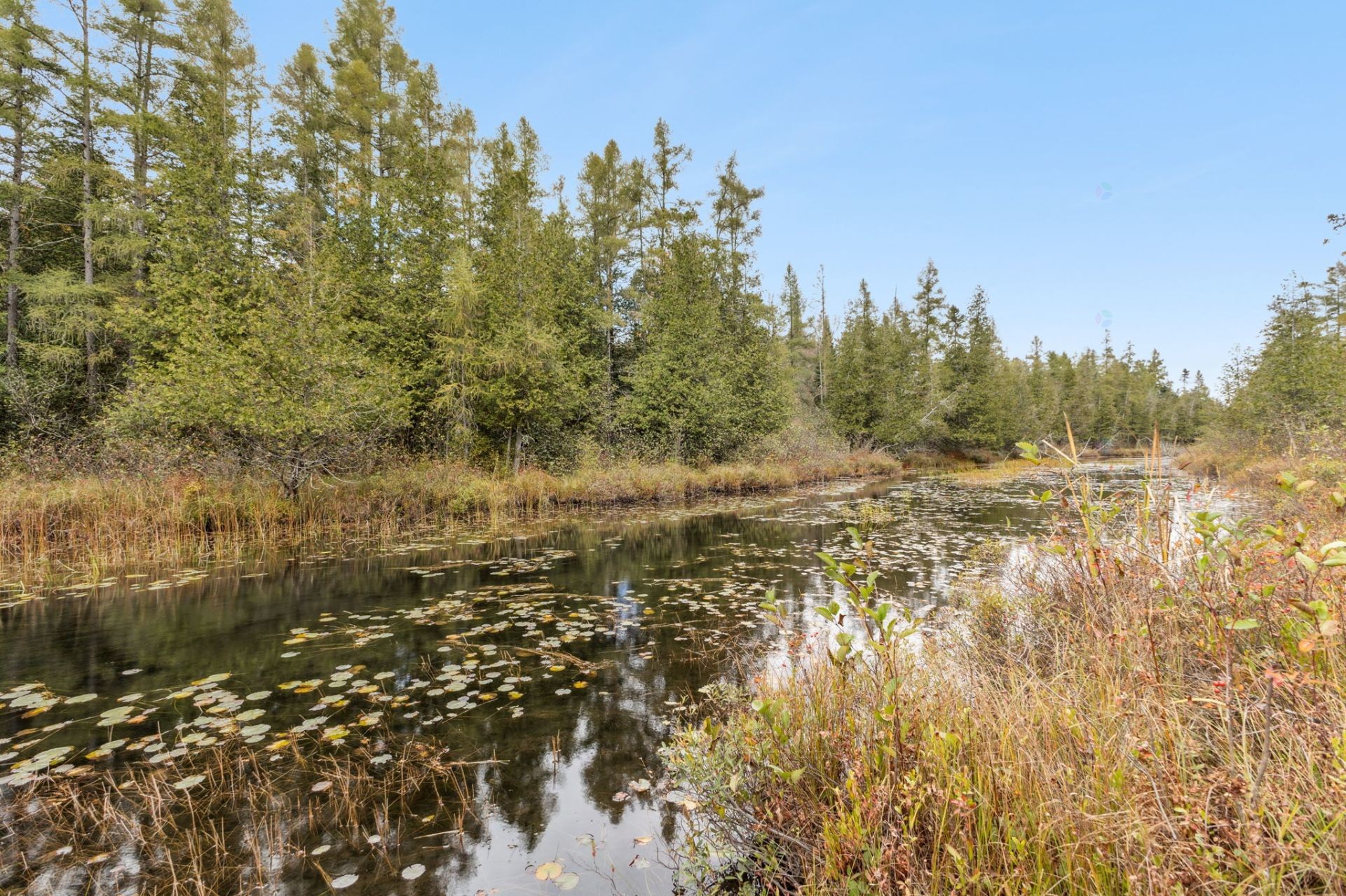 









2173


Route 303

,
Thorne,




QC
J0X2A0

