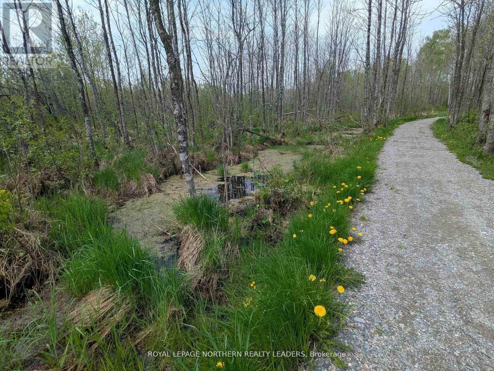 












CON 2 N PT LOT 12 WHITNEY

,
Timmins (SP - Connaught Hill),







Ontario
P0N1H0

