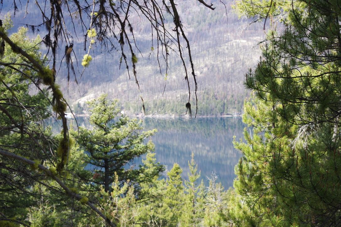 









55 Lakeview Lot A DL 5637


Lakeview Rd

Road,
Gold Bridge,







BC
V0K 1P0

