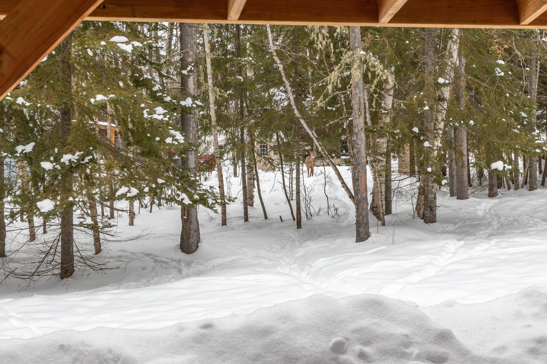 









100


Ch. du Domaine

,
Saint-Michel-des-Saints,




QC
J0K3B0

