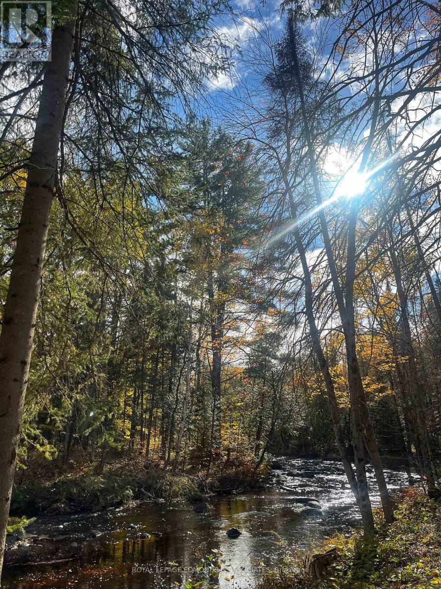 












125 BEAR TRAIL ROAD

,
Killaloe, Hagarty and Richards,




Ontario
K0J2A0

