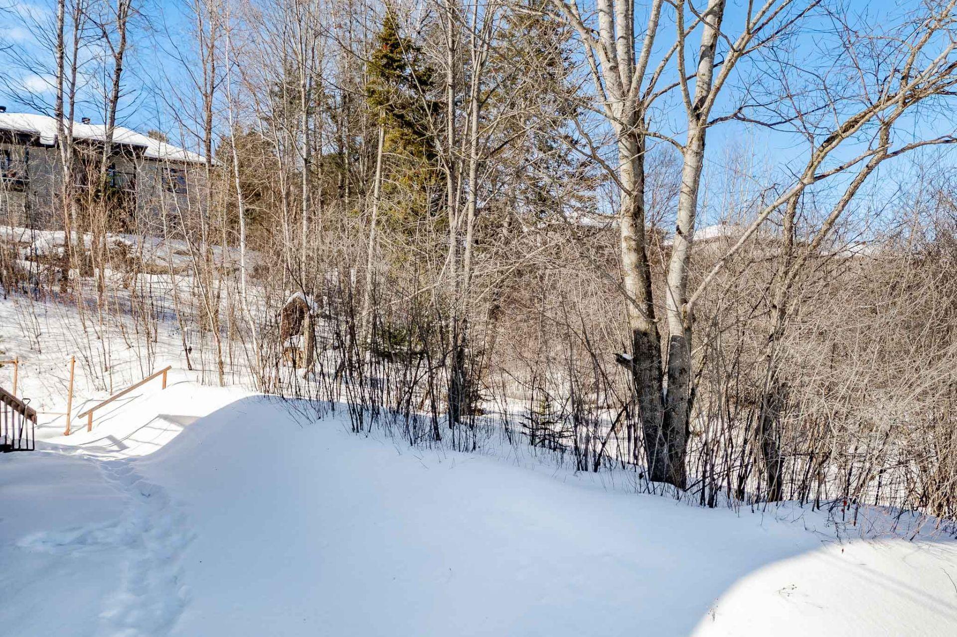









1956


Rue du Chèvrefeuille

,
Sherbrooke (Fleurimont),




QC
J1E0J5


