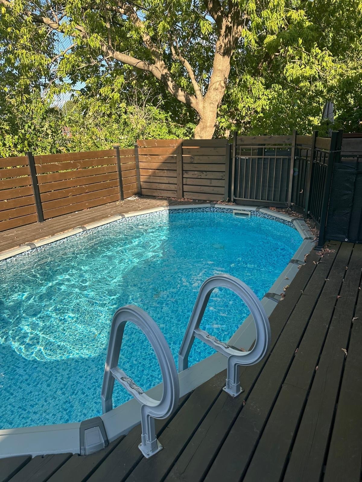 









5741


Av. Blossom

,
Côte-Saint-Luc,




QC
H4W2T2

