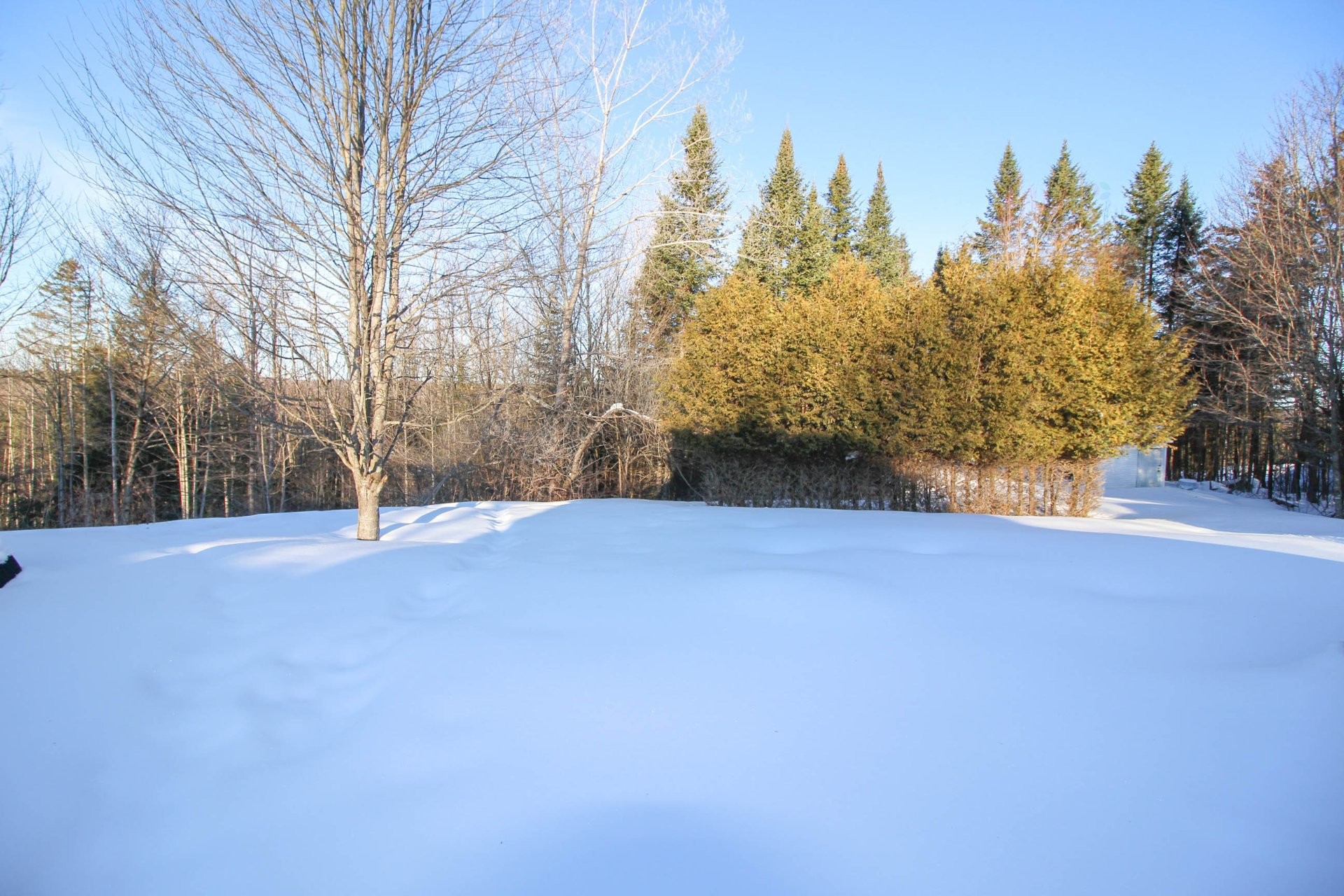 









121


Route 216

,
Stoke,




QC
J0B3G0

