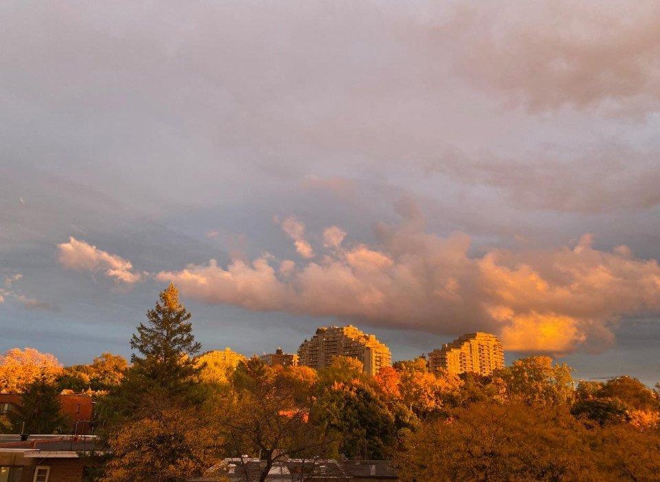 









2285


Av. Ekers

, PH404,
Mont-Royal,




QC
H3S1C6

