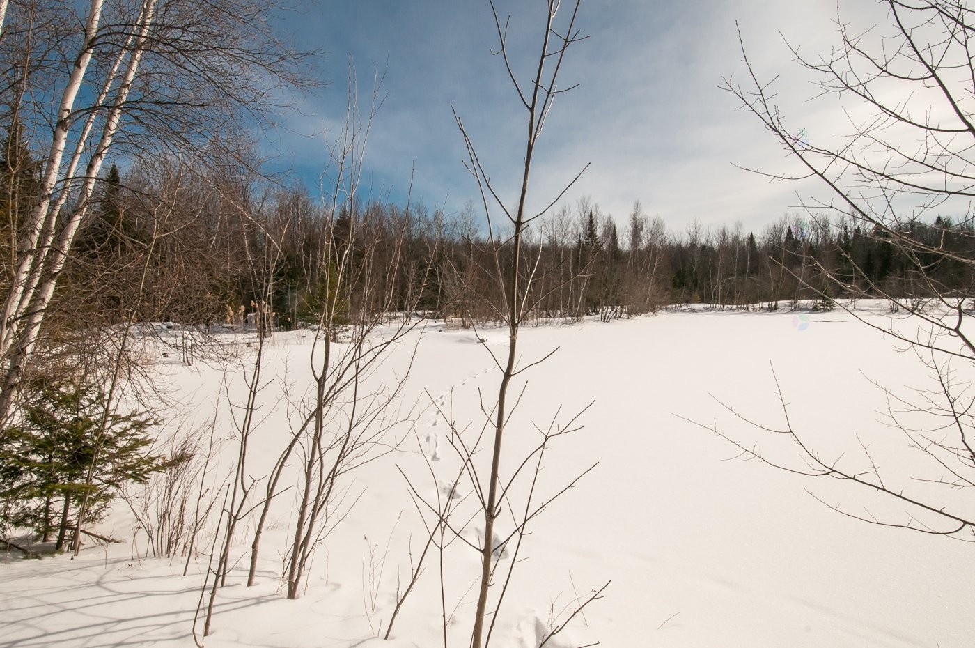 









421


Ch. de la Grande-Ligne

,
Racine,




QC
J0E1Y0

