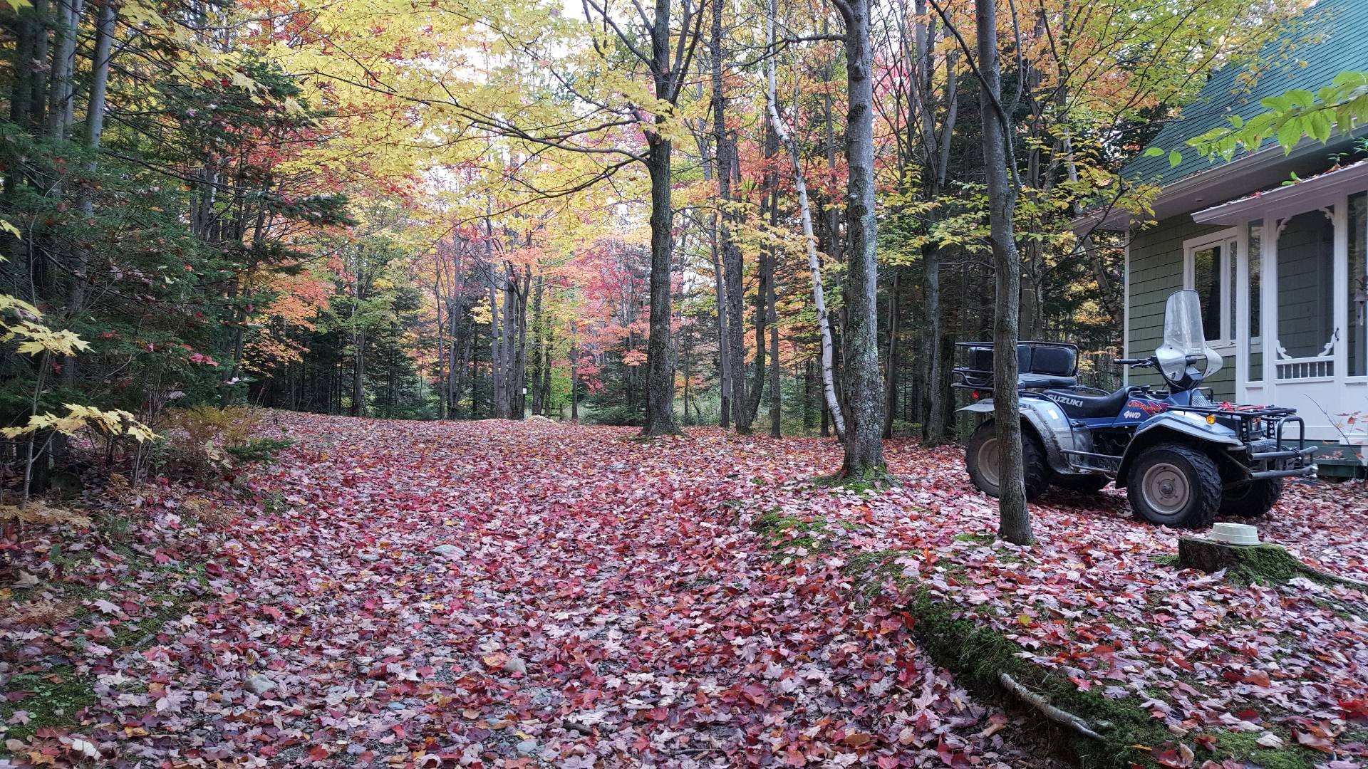 









421


Ch. de la Grande-Ligne

,
Racine,




QC
J0E1Y0

