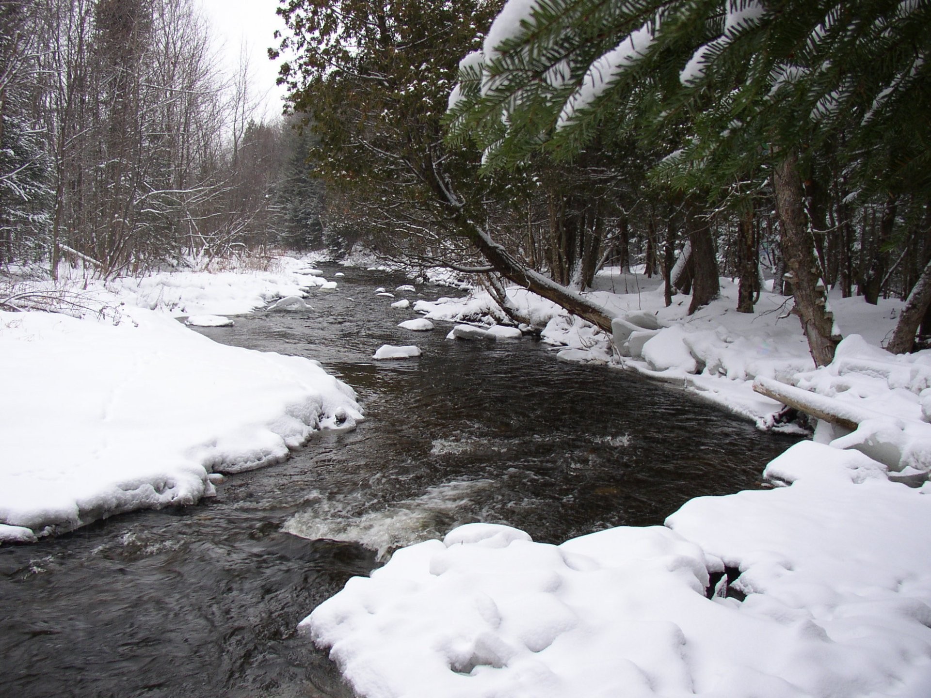 









421


Ch. de la Grande-Ligne

,
Racine,




QC
J0E1Y0

