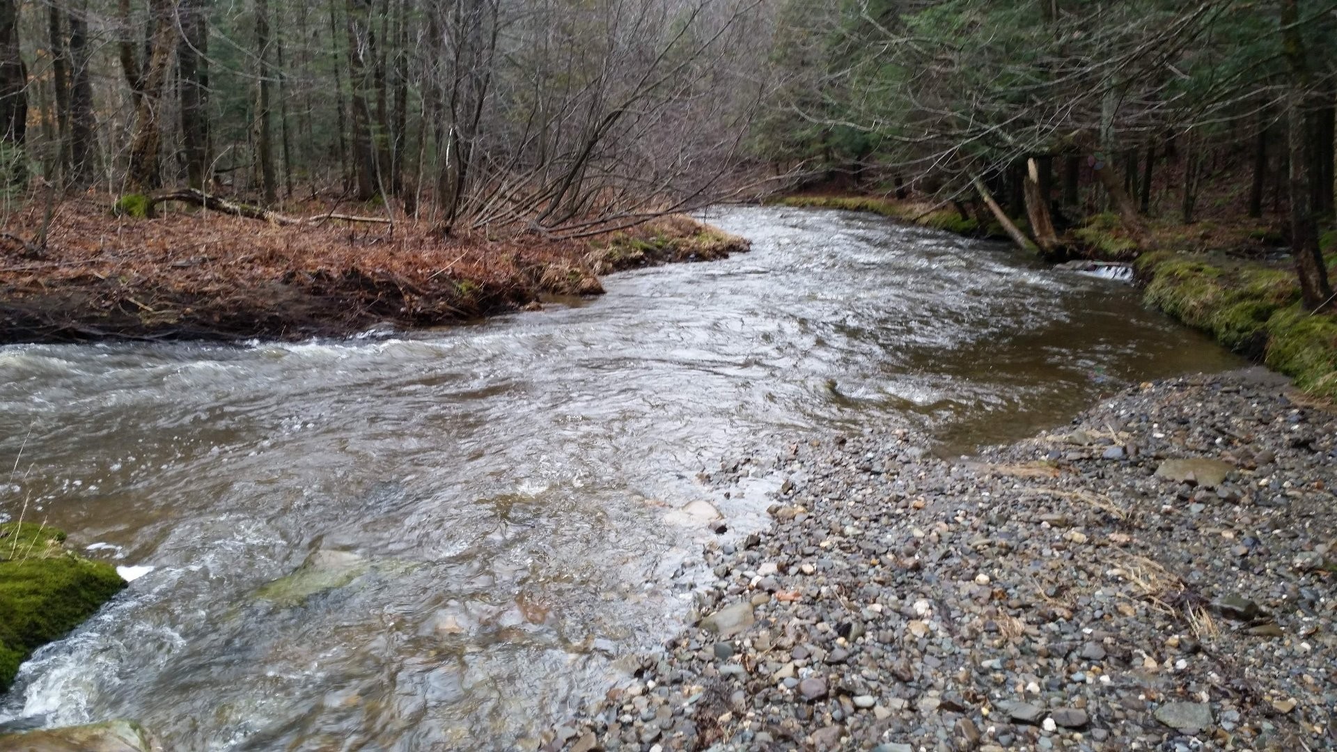 









421


Ch. de la Grande-Ligne

,
Racine,




QC
J0E1Y0

