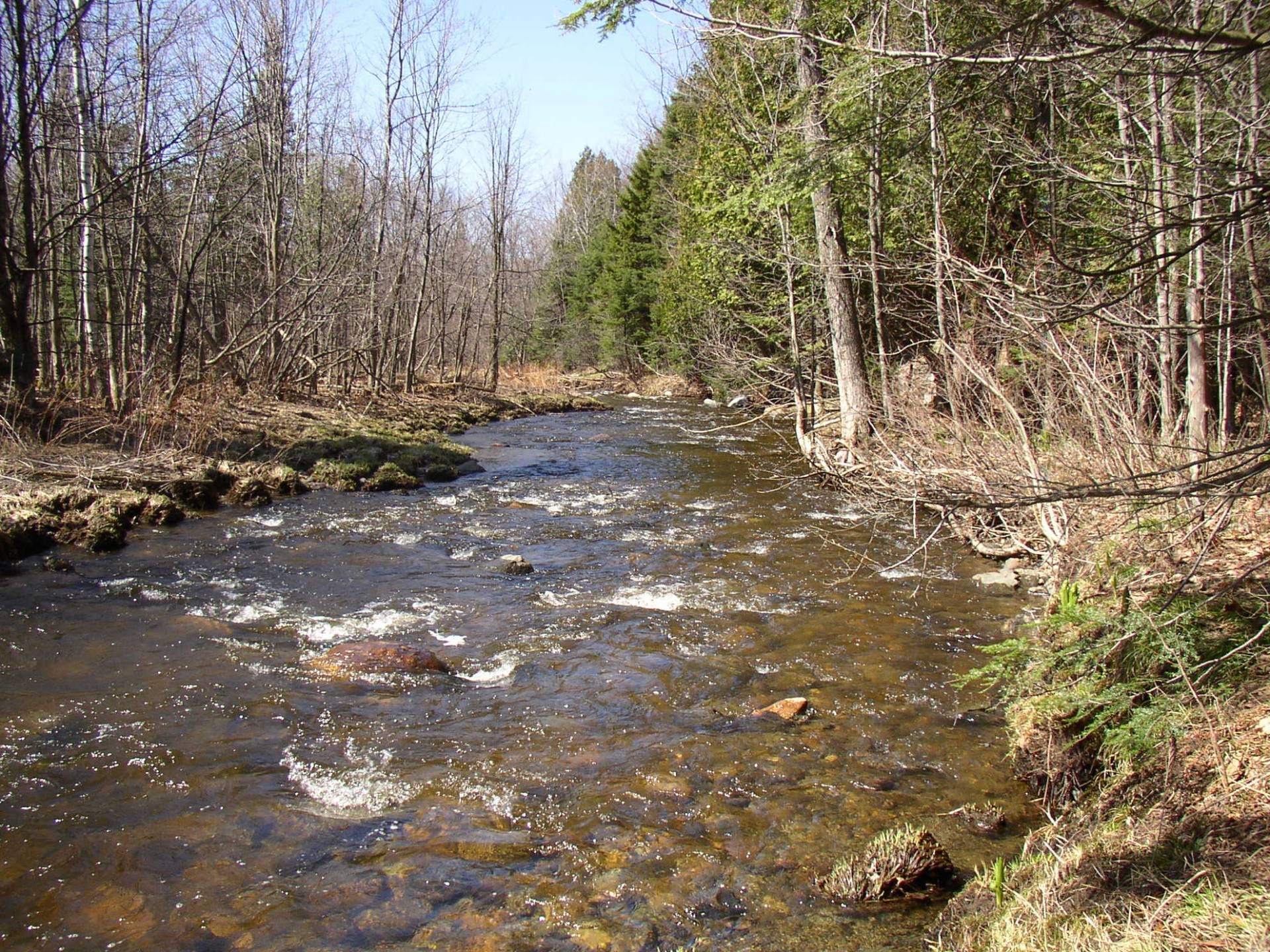 









421


Ch. de la Grande-Ligne

,
Racine,




QC
J0E1Y0

