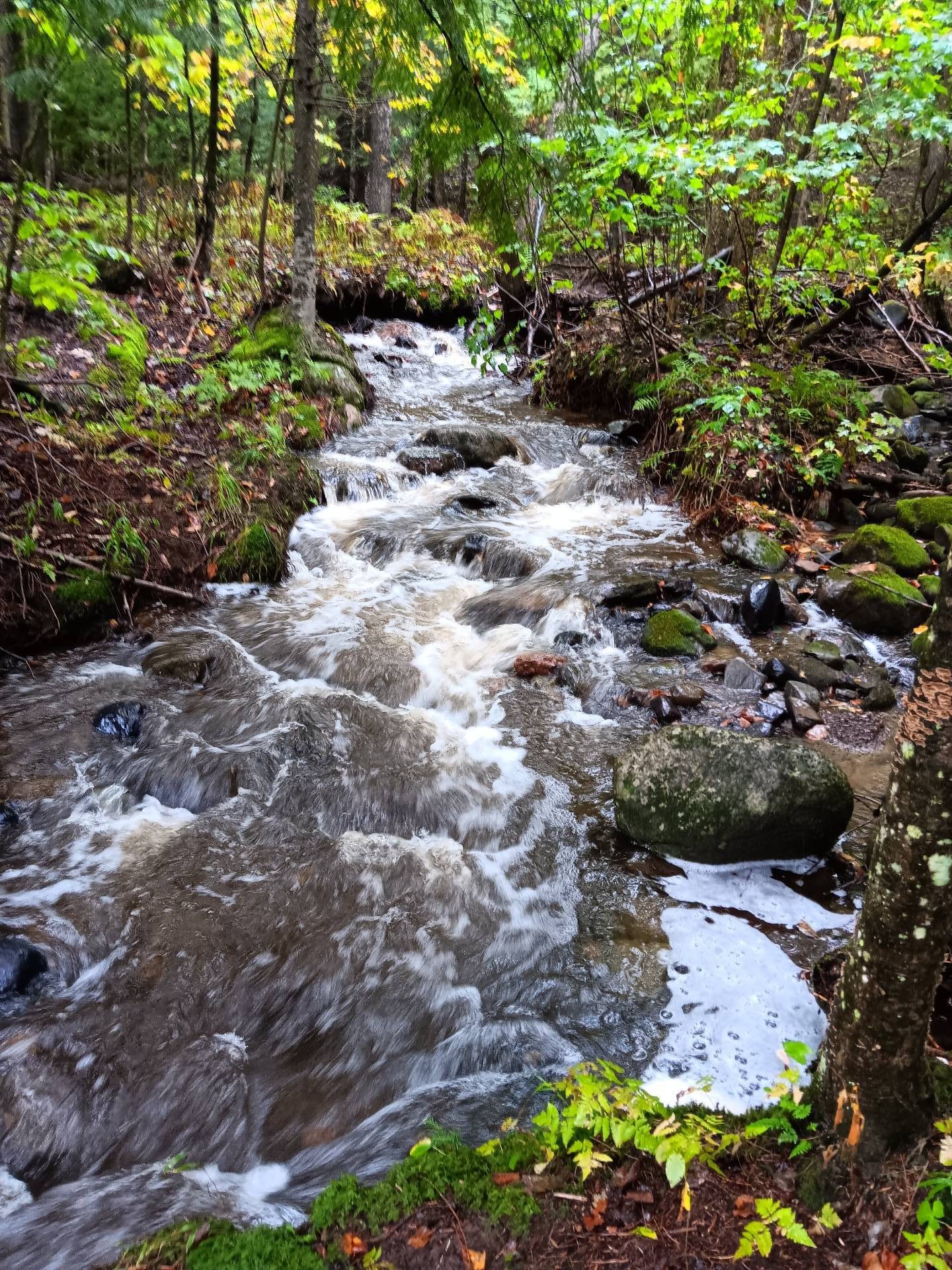 









421


Ch. de la Grande-Ligne

,
Racine,




QC
J0E1Y0

