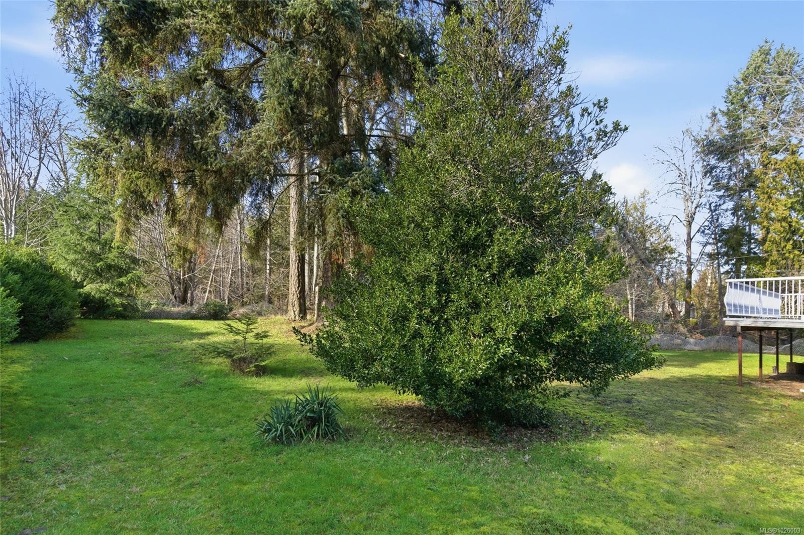









439


Craig

St,
Parksville,




BC
V9P 1L2

