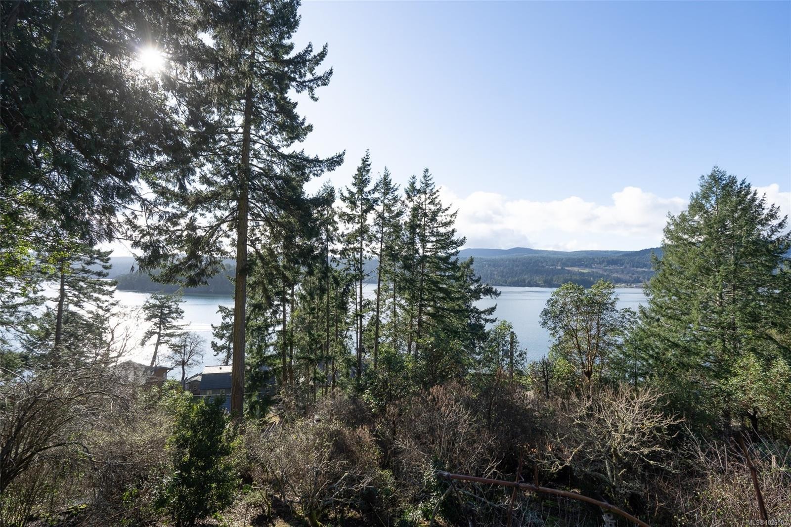 









354


Old Scott

Rd,
Salt Spring,




BC
V8K 2L9

