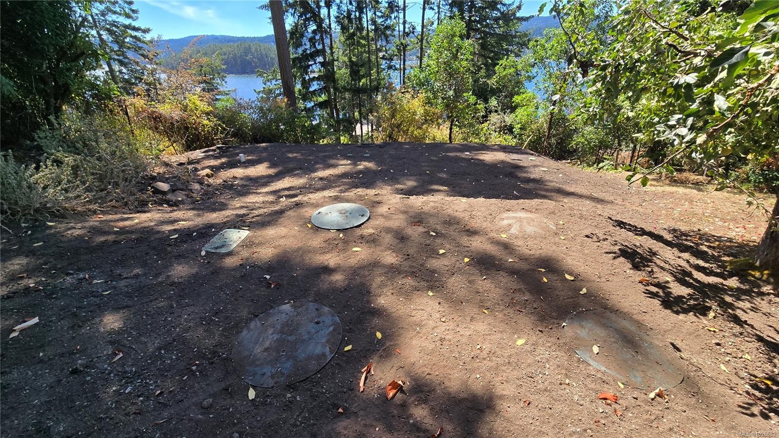 









354


Old Scott

Rd,
Salt Spring,




BC
V8K 2L9


