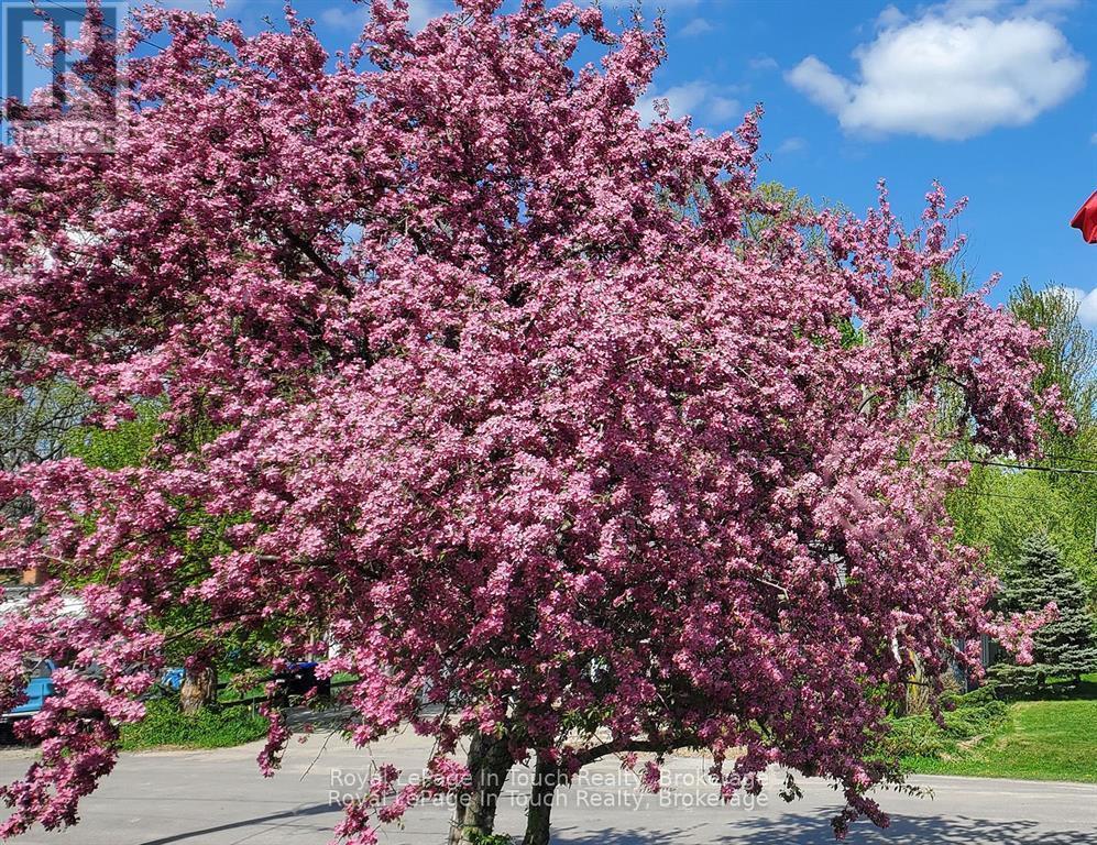 












8 CYRIL MARTIN PLACE

,
Severn (Coldwater),




Ontario
L0K1E0

