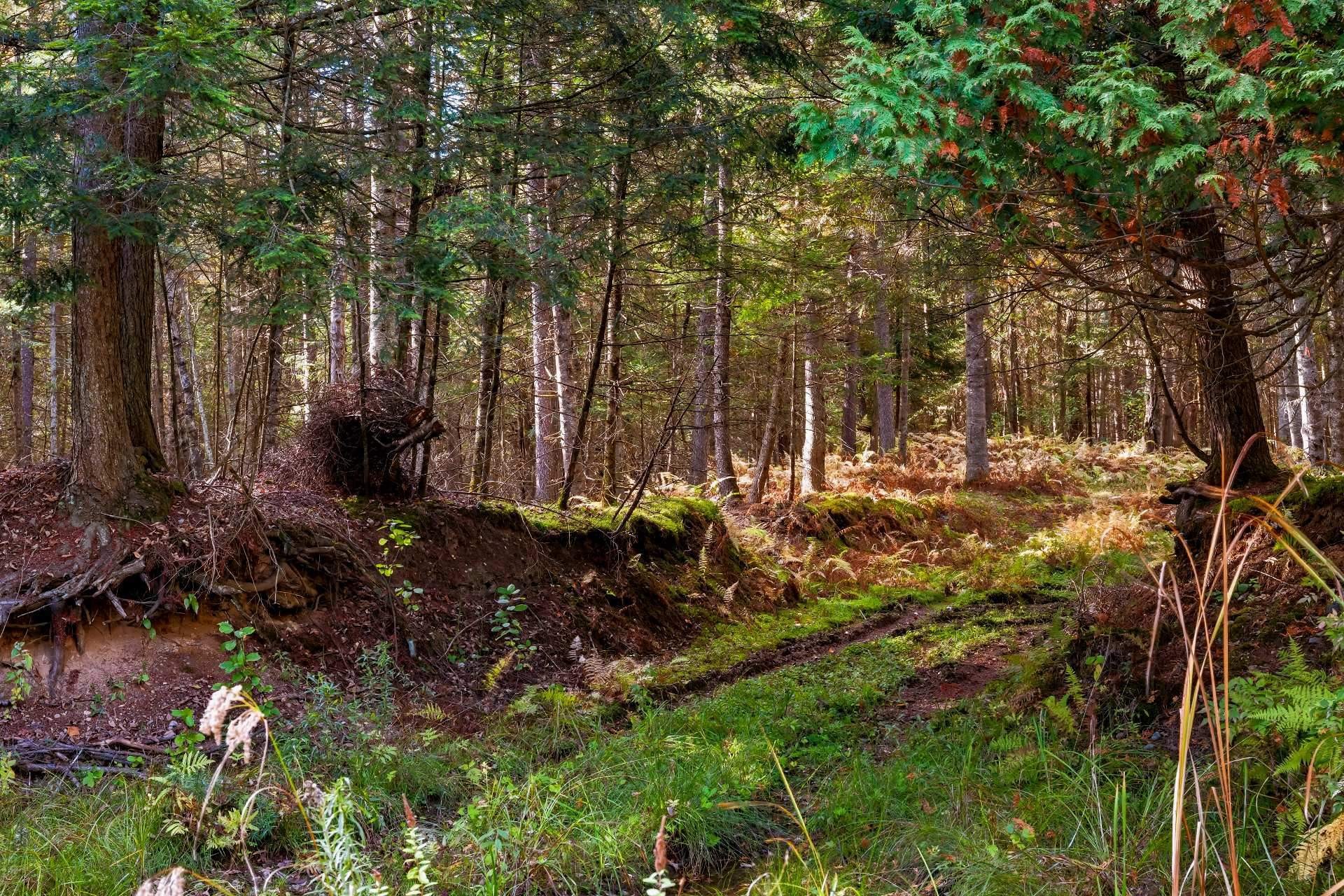 









3150


Ch. Bartlett

,
Cookshire-Eaton,







QC
J0B1M0

