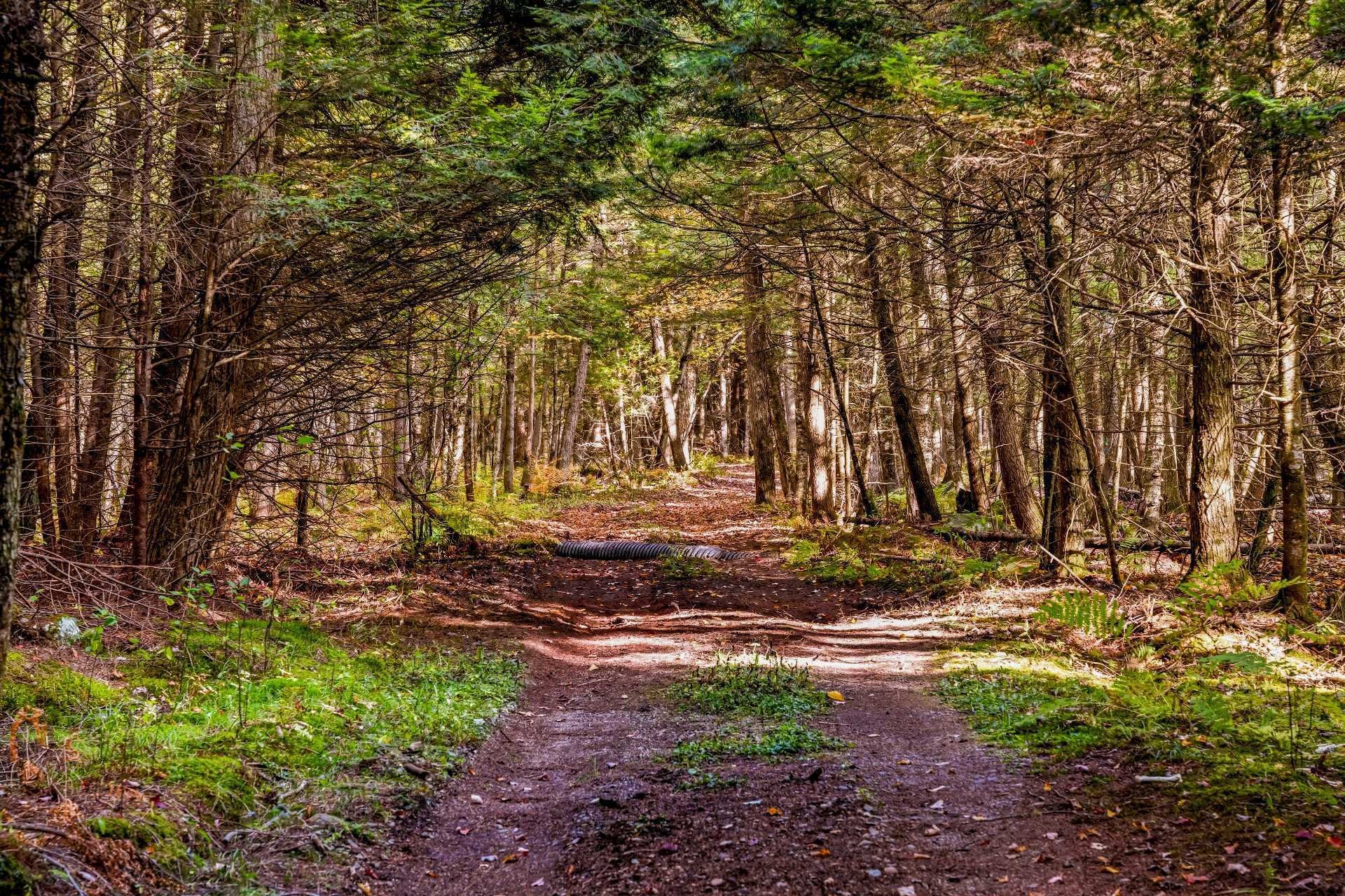 









3150


Ch. Bartlett

,
Cookshire-Eaton,







QC
J0B1M0

