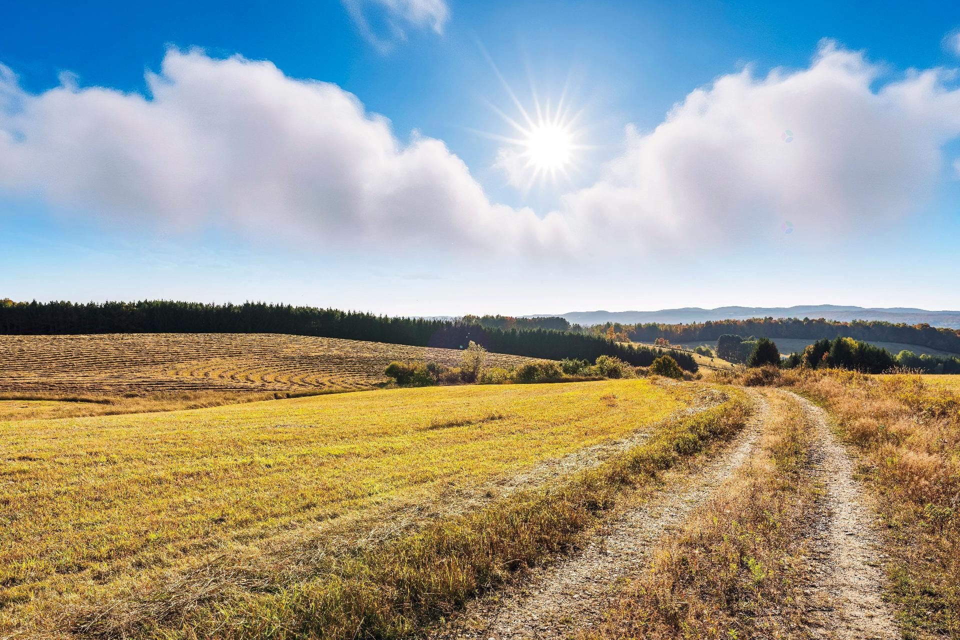 









3150


Ch. Bartlett

,
Cookshire-Eaton,







QC
J0B1M0

