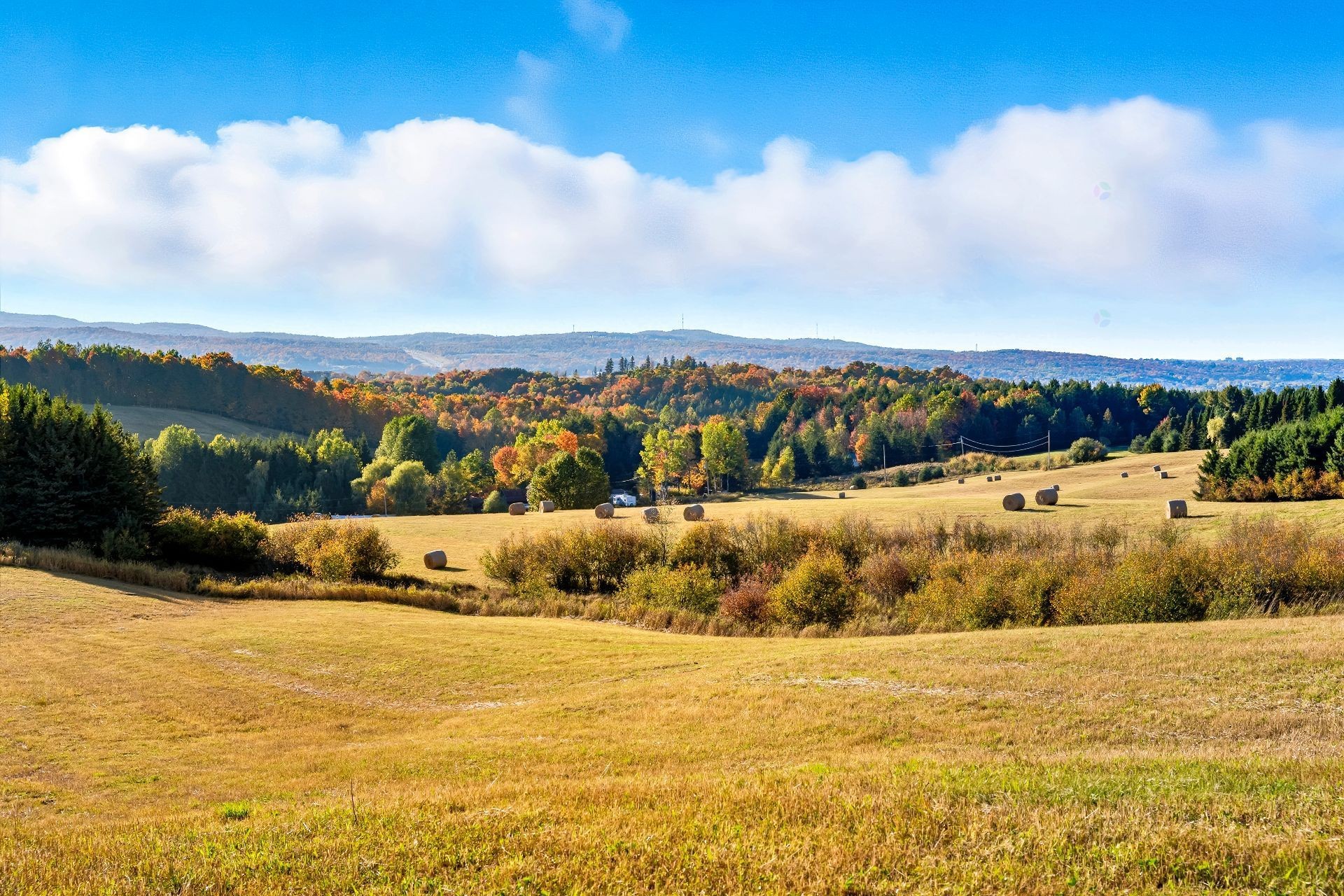 









3150


Ch. Bartlett

,
Cookshire-Eaton,







QC
J0B1M0

