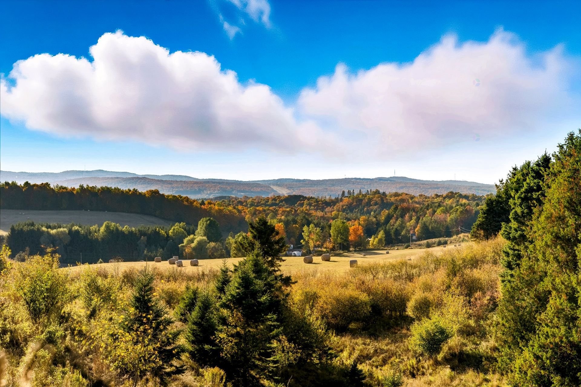 









3150


Ch. Bartlett

,
Cookshire-Eaton,







QC
J0B1M0

