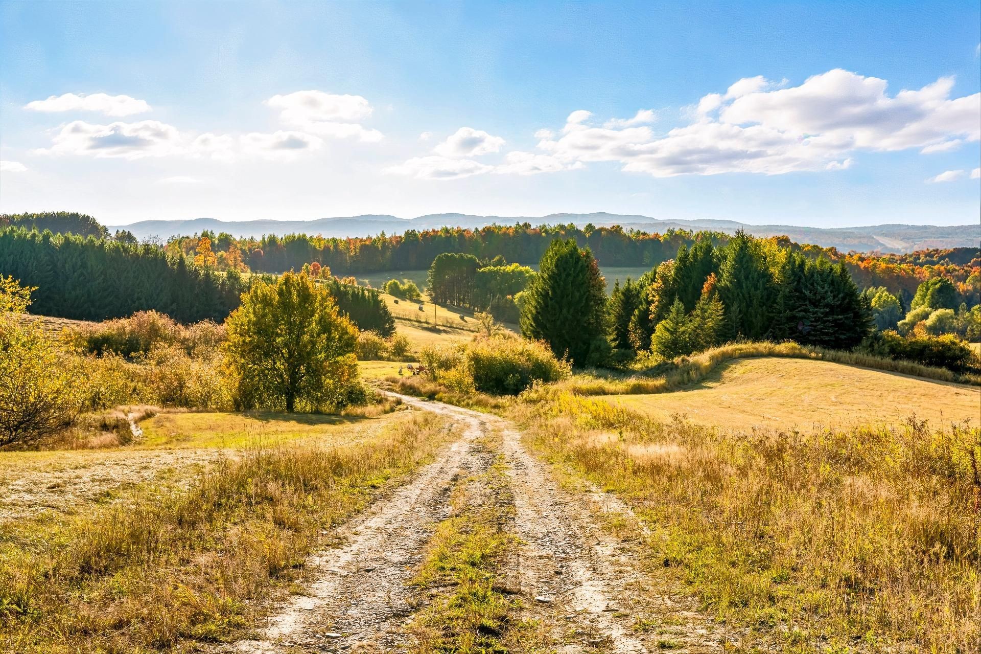 









3150


Ch. Bartlett

,
Cookshire-Eaton,







QC
J0B1M0

