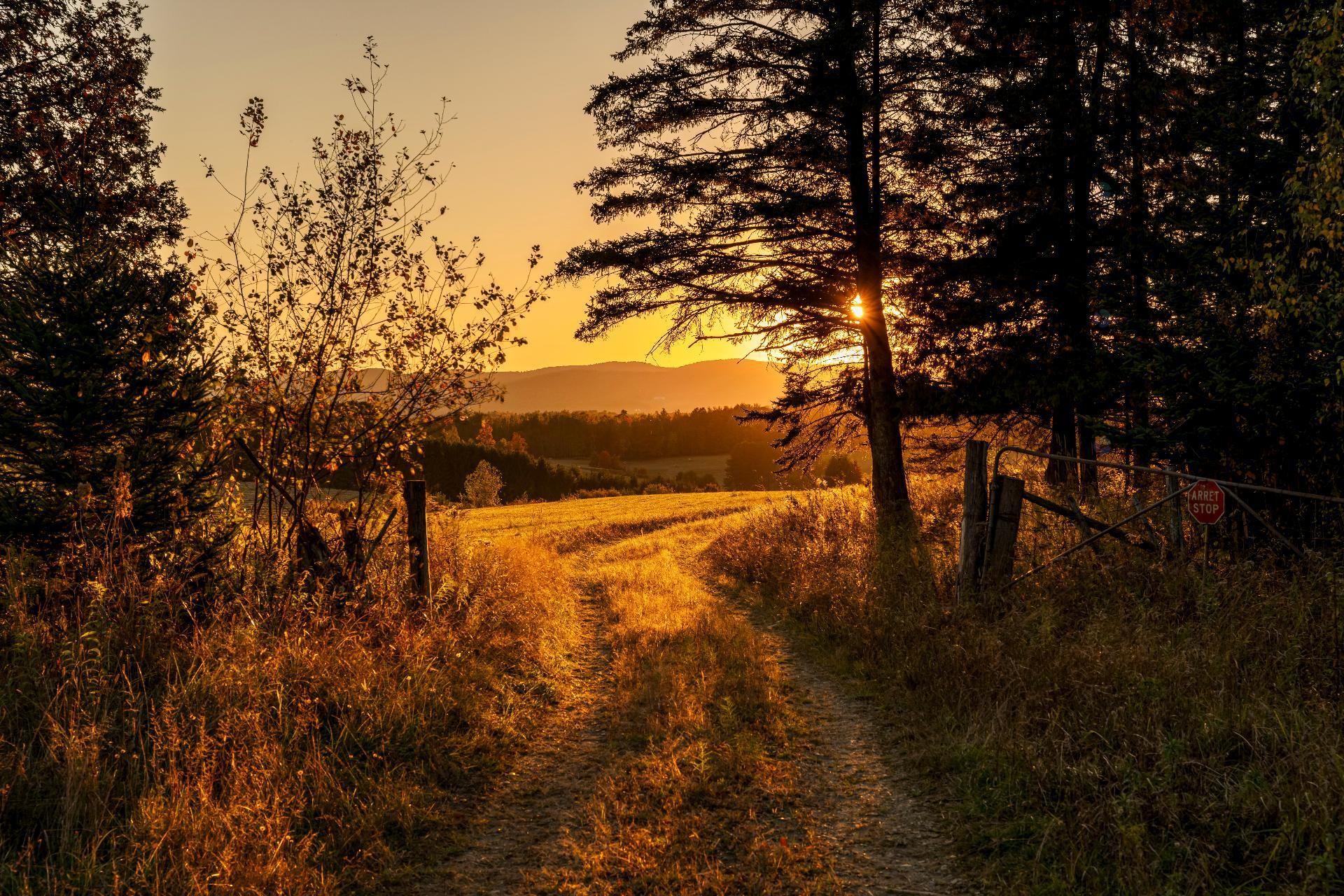 









3150


Ch. Bartlett

,
Cookshire-Eaton,







QC
J0B1M0

