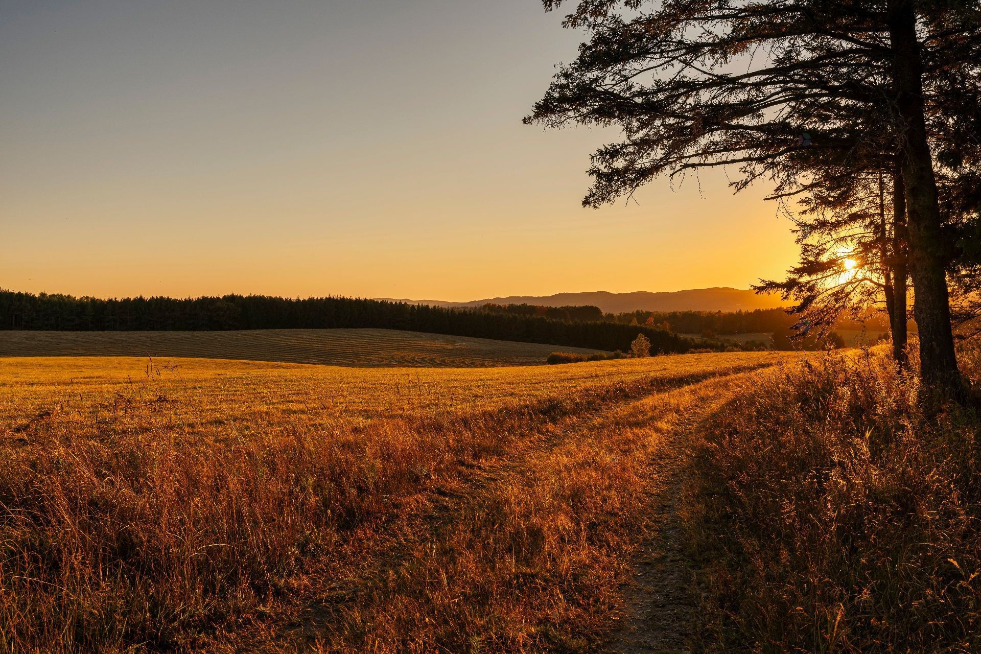 









3150


Ch. Bartlett

,
Cookshire-Eaton,







QC
J0B1M0

