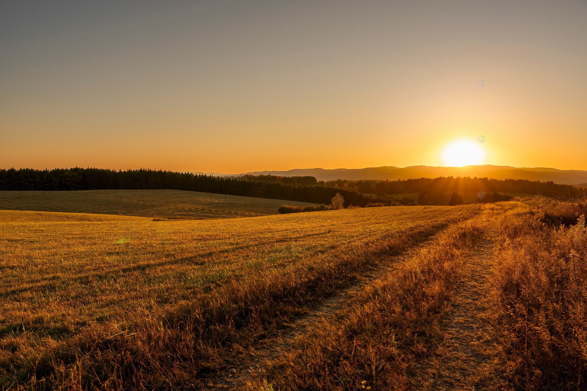 









3150


Ch. Bartlett

,
Cookshire-Eaton,







QC
J0B1M0

