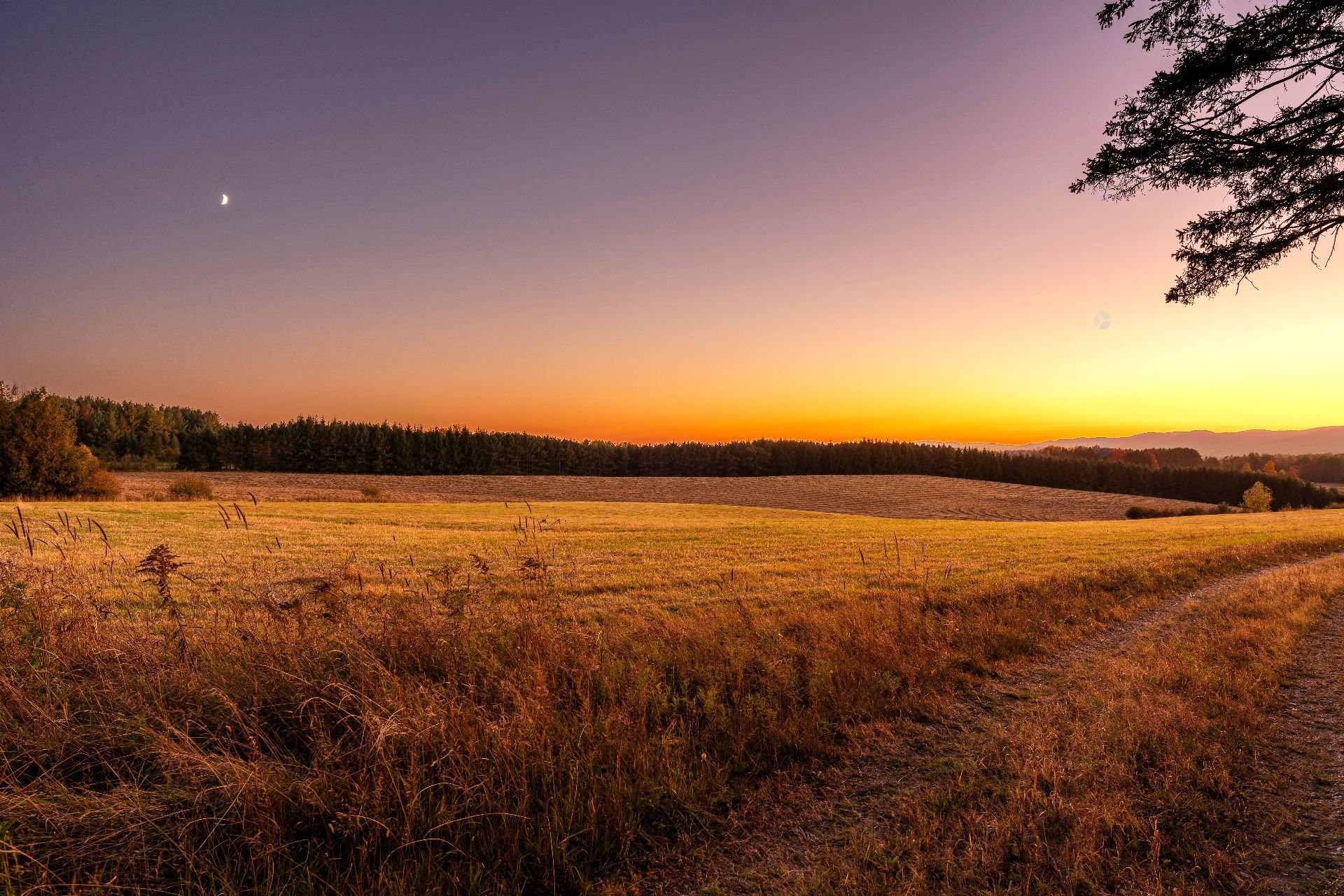 









3150


Ch. Bartlett

,
Cookshire-Eaton,







QC
J0B1M0

