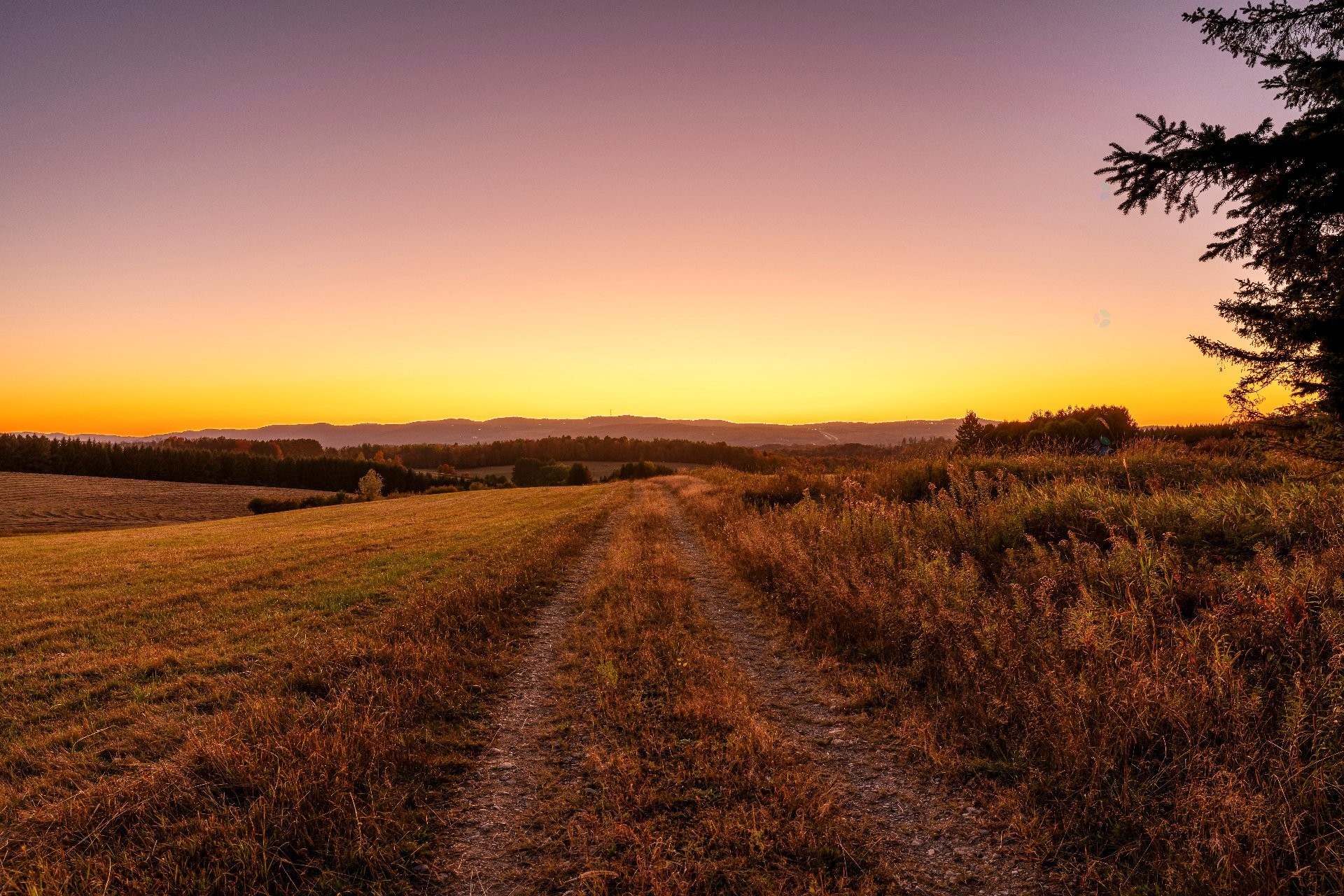 









3150


Ch. Bartlett

,
Cookshire-Eaton,







QC
J0B1M0

