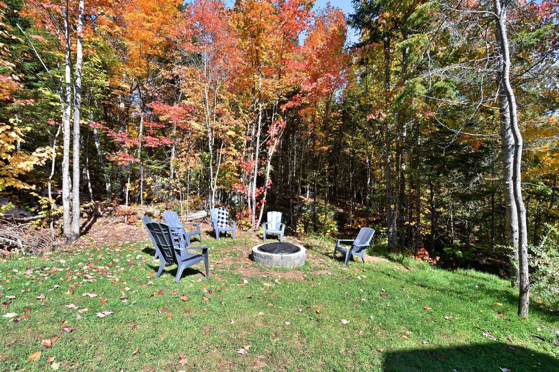 









93


Ch. du Domaine-Ayotte

,
Saint-Donat,




QC
J0T2C0

