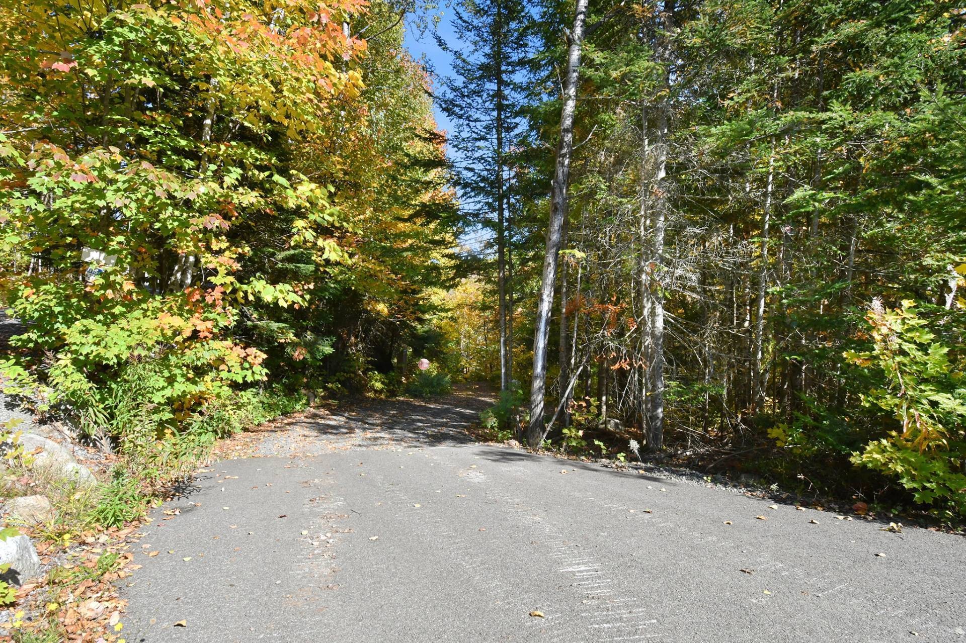 









93


Ch. du Domaine-Ayotte

,
Saint-Donat,




QC
J0T2C0

