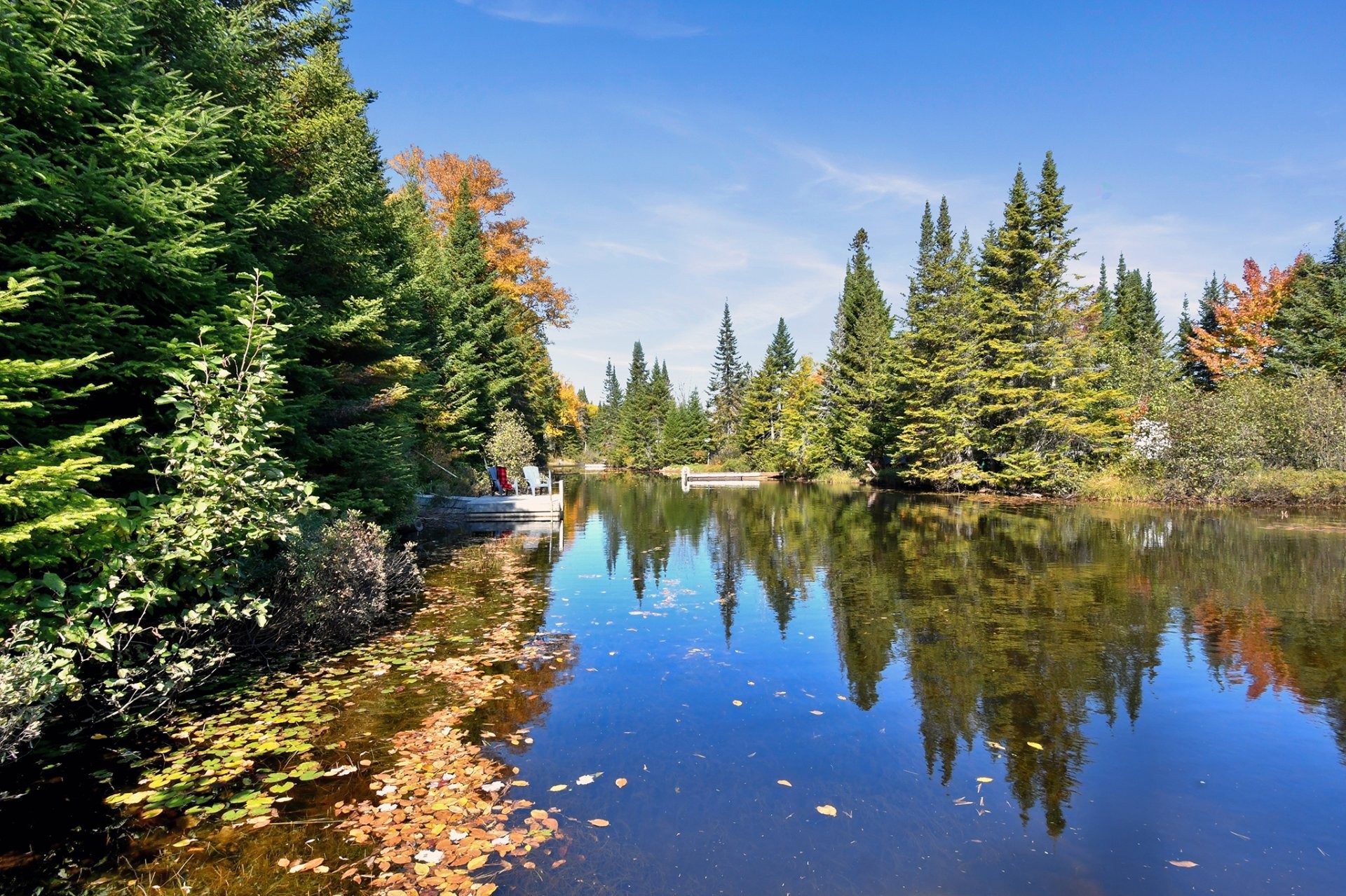 









93


Ch. du Domaine-Ayotte

,
Saint-Donat,




QC
J0T2C0

